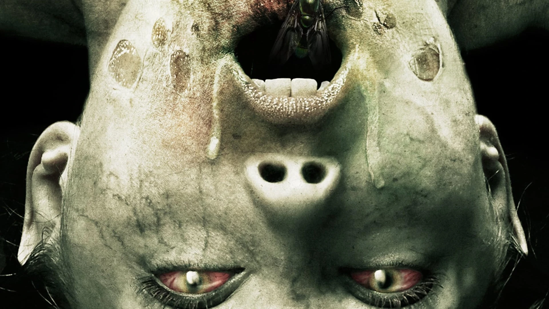 Molly Hartley 2 - Der Exorzismus