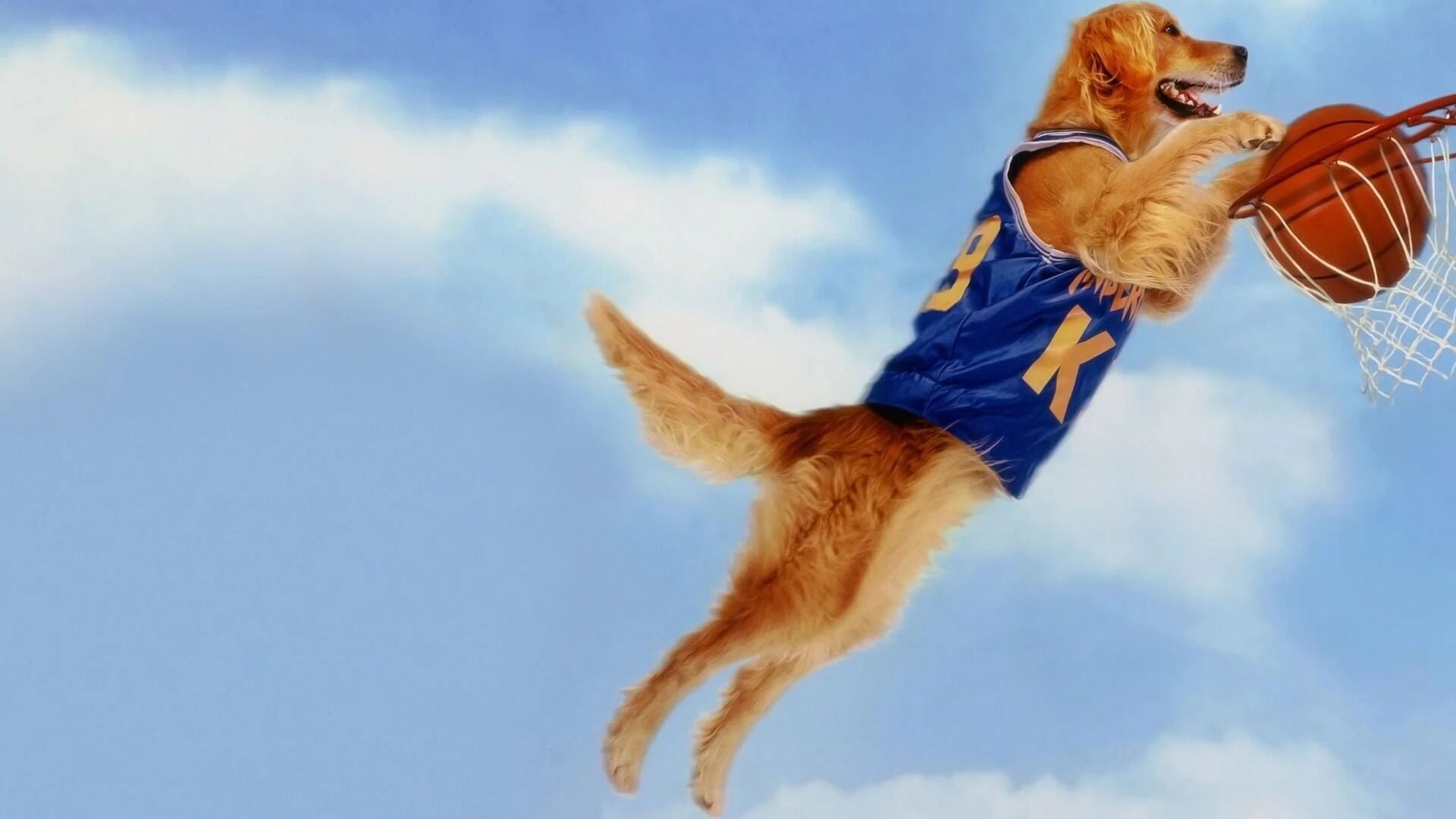 Air Bud - Champion auf vier Pfoten