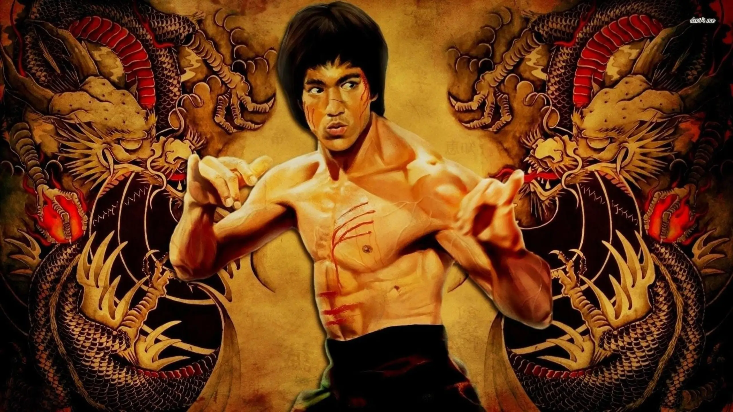 Bruce Lee - Die Legende