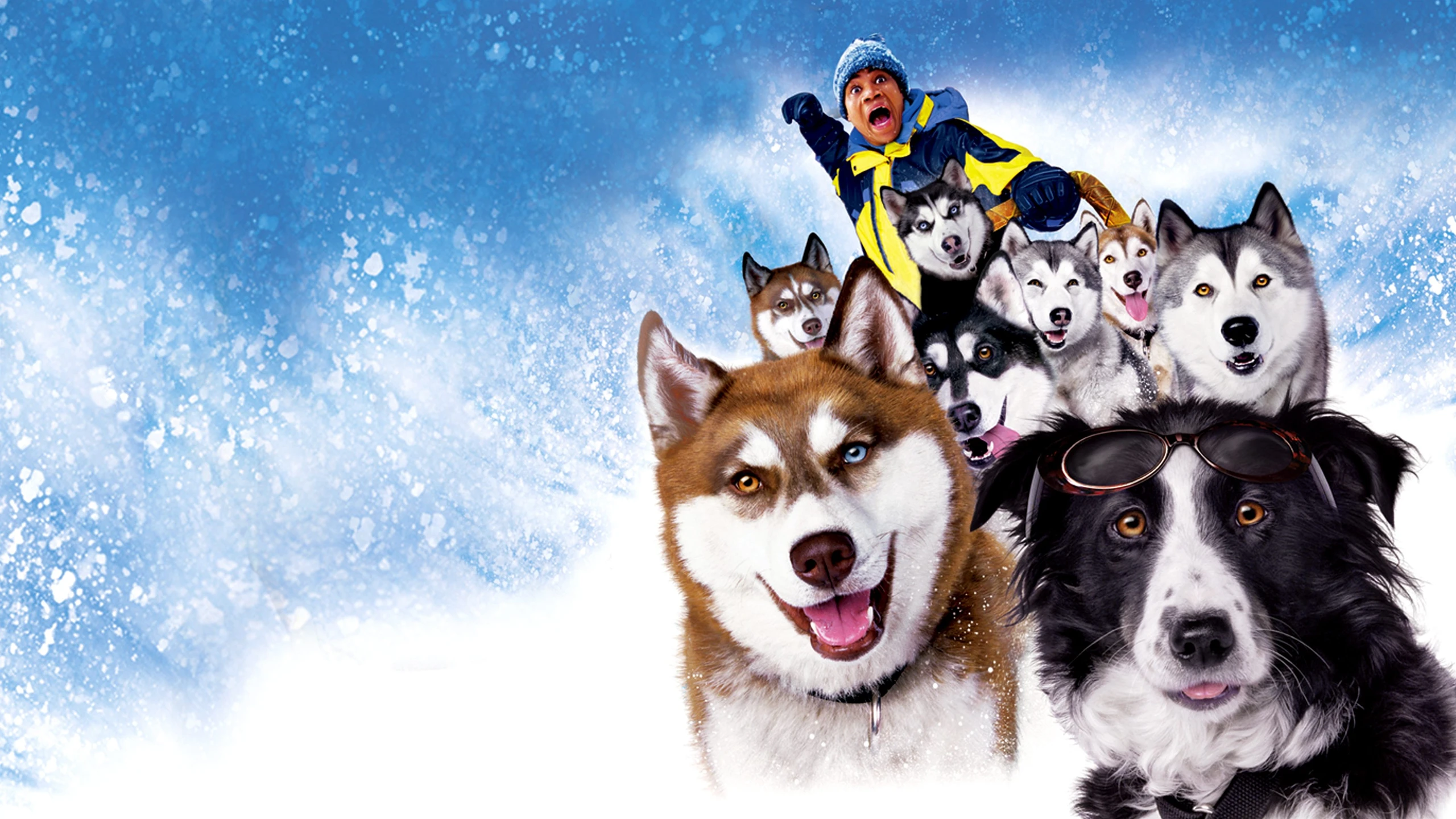 Snow Dogs - Acht Helden auf vier Pfoten