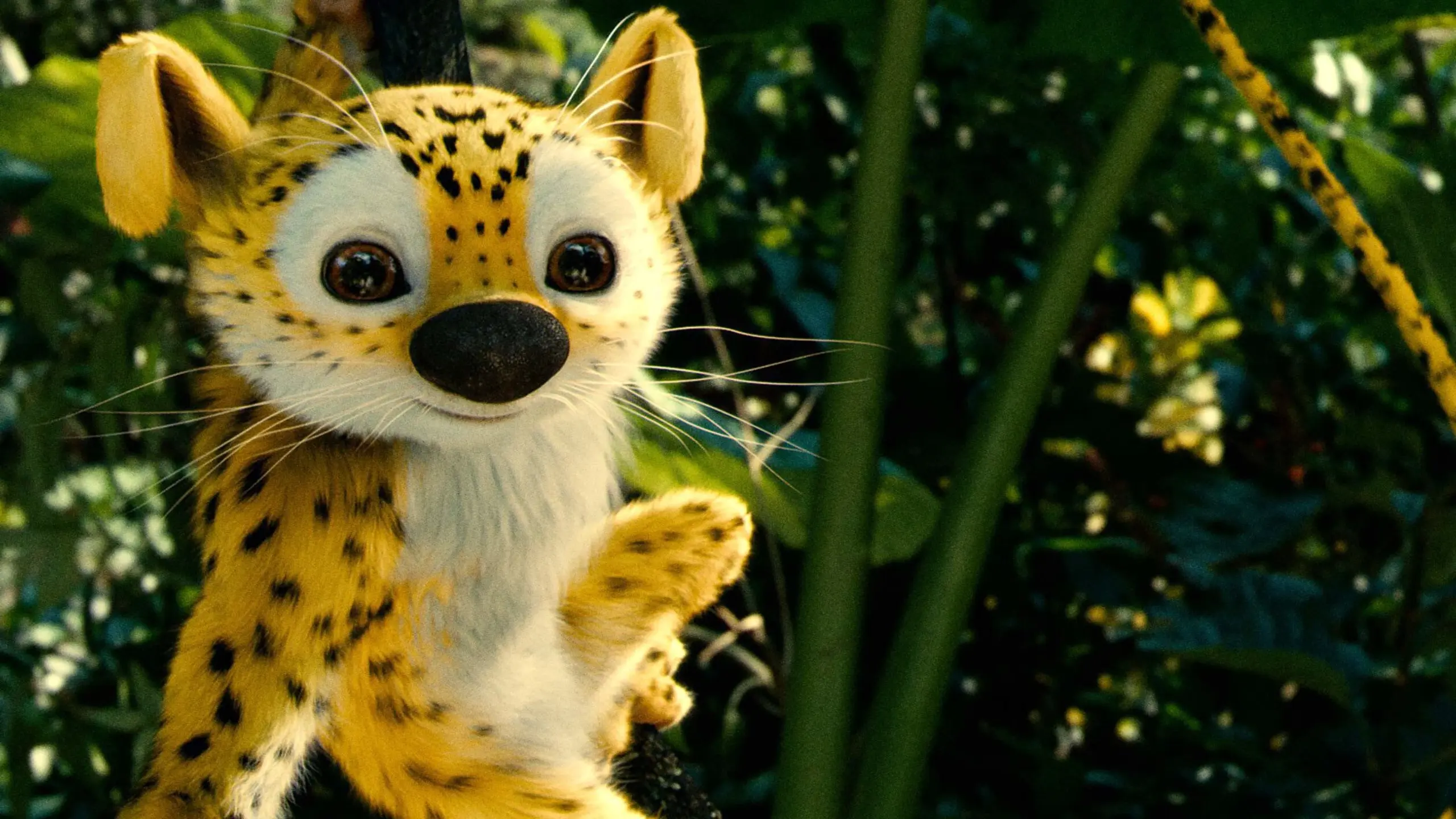 Auf den Spuren des Marsupilami