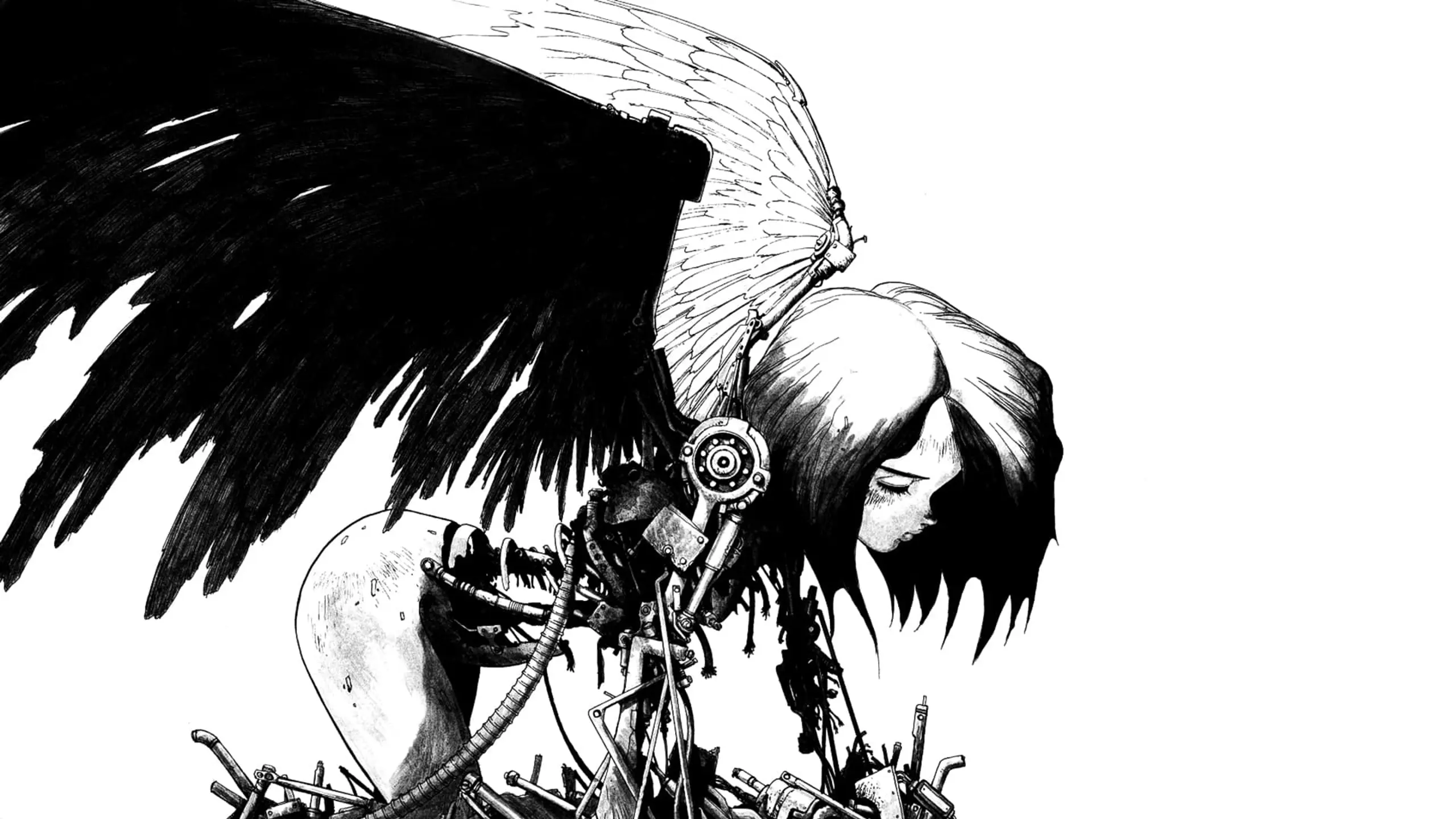 Battle Angel Alita