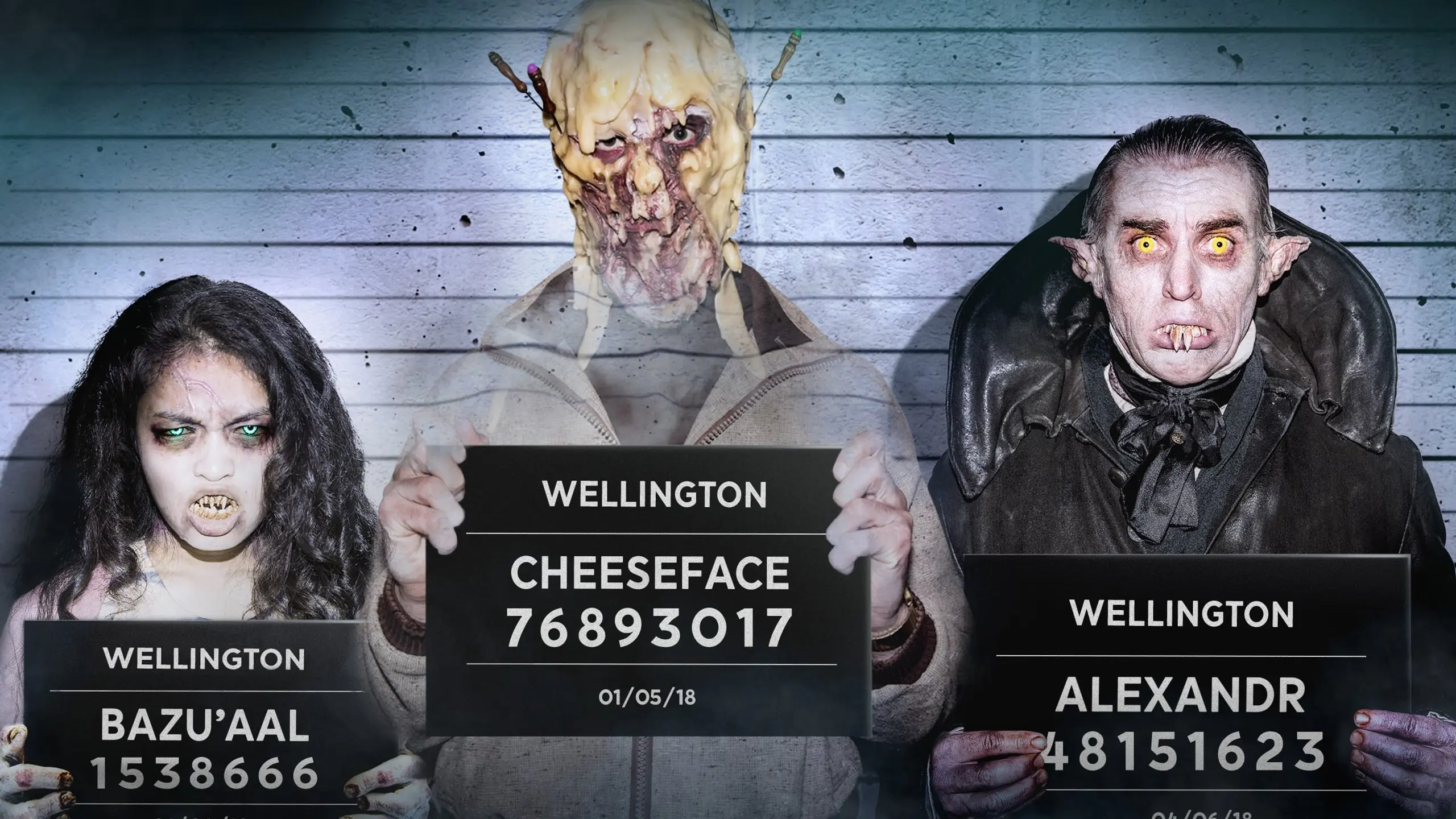 Wellington Paranormal