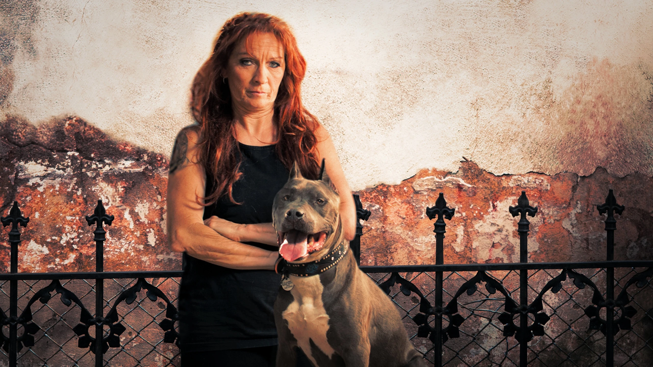 Pitbulls auf Bewährung