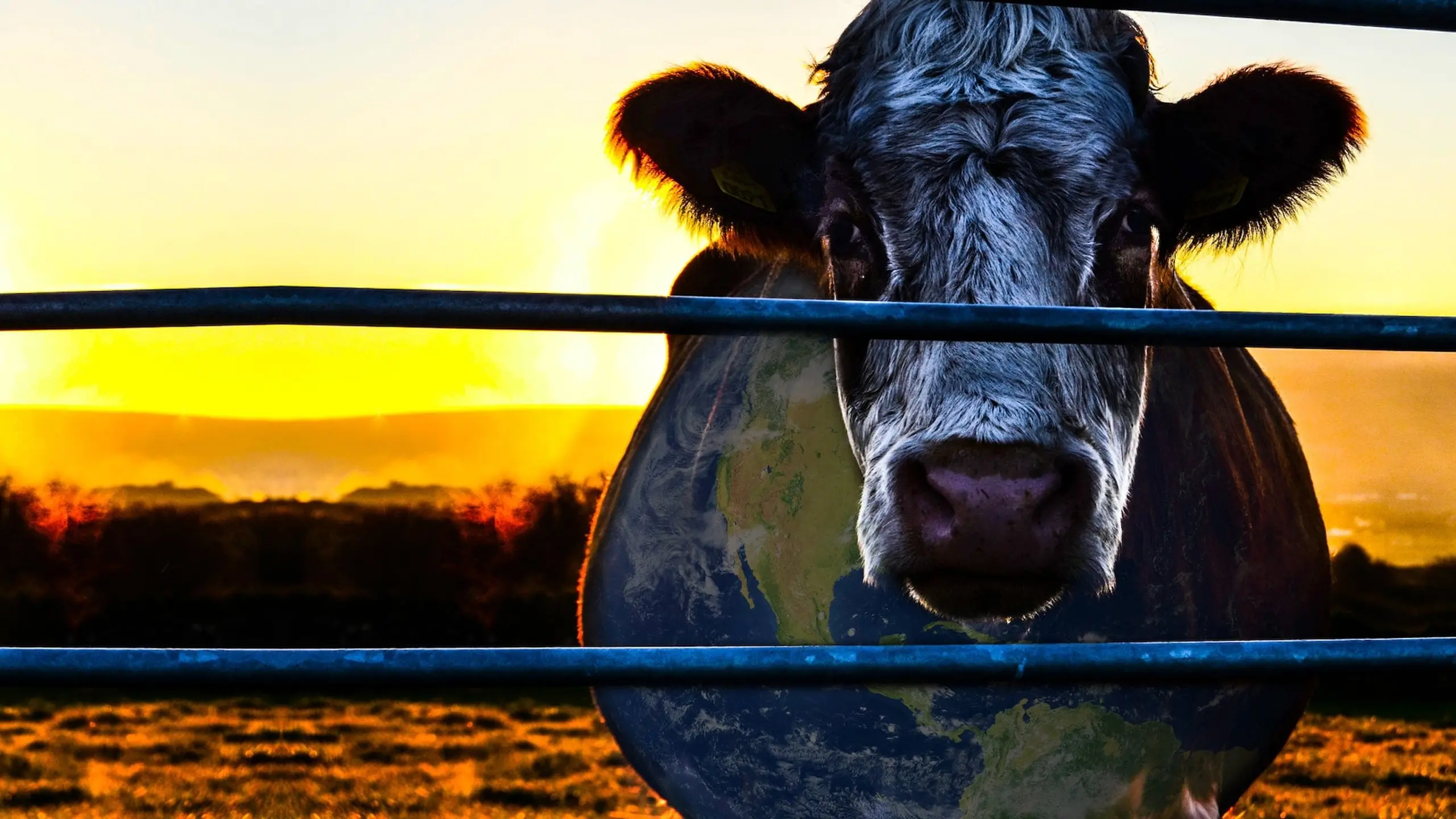 Cowspiracy - Das Geheimnis der Nachhaltigkeit