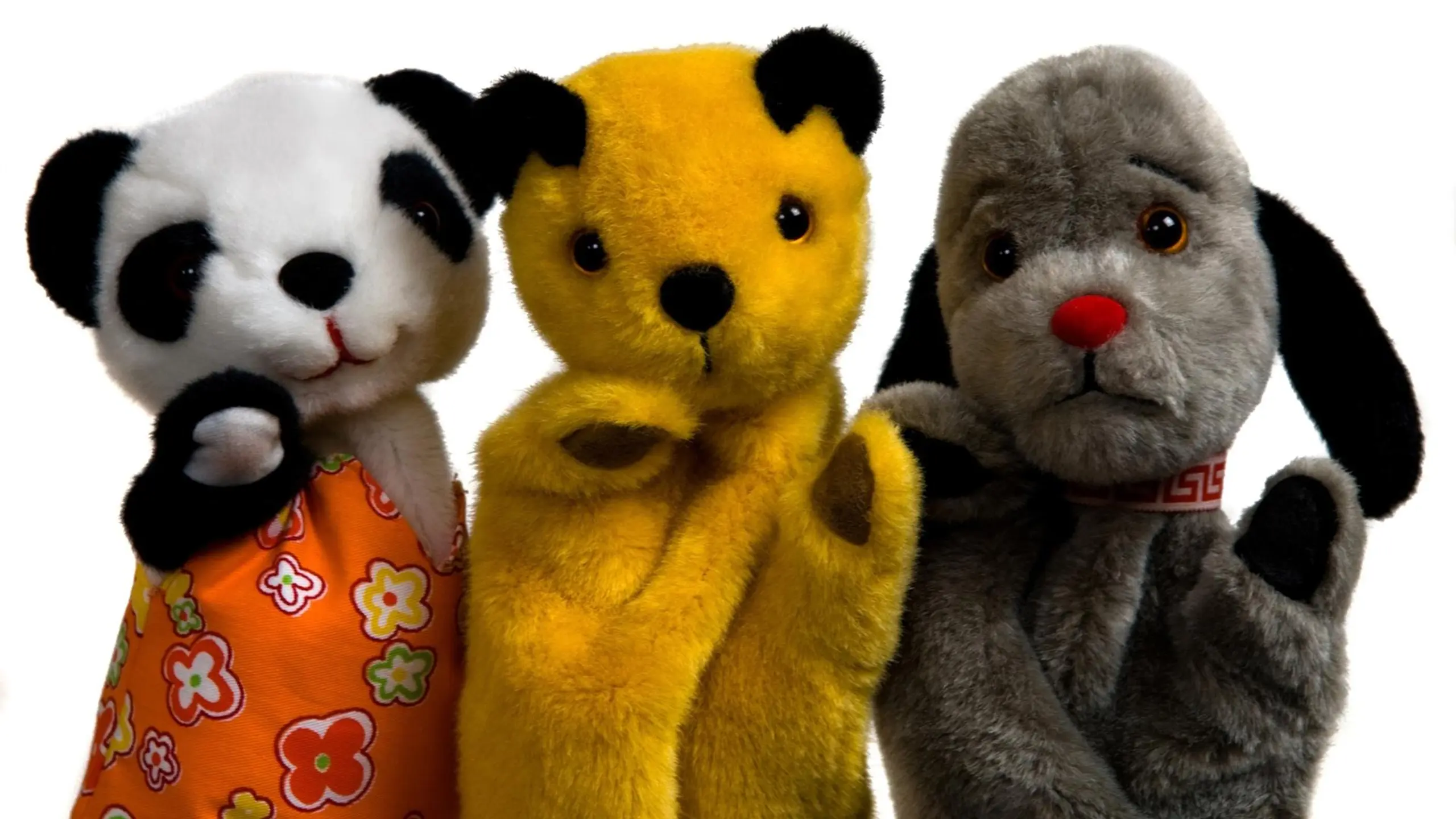 The Sooty Show