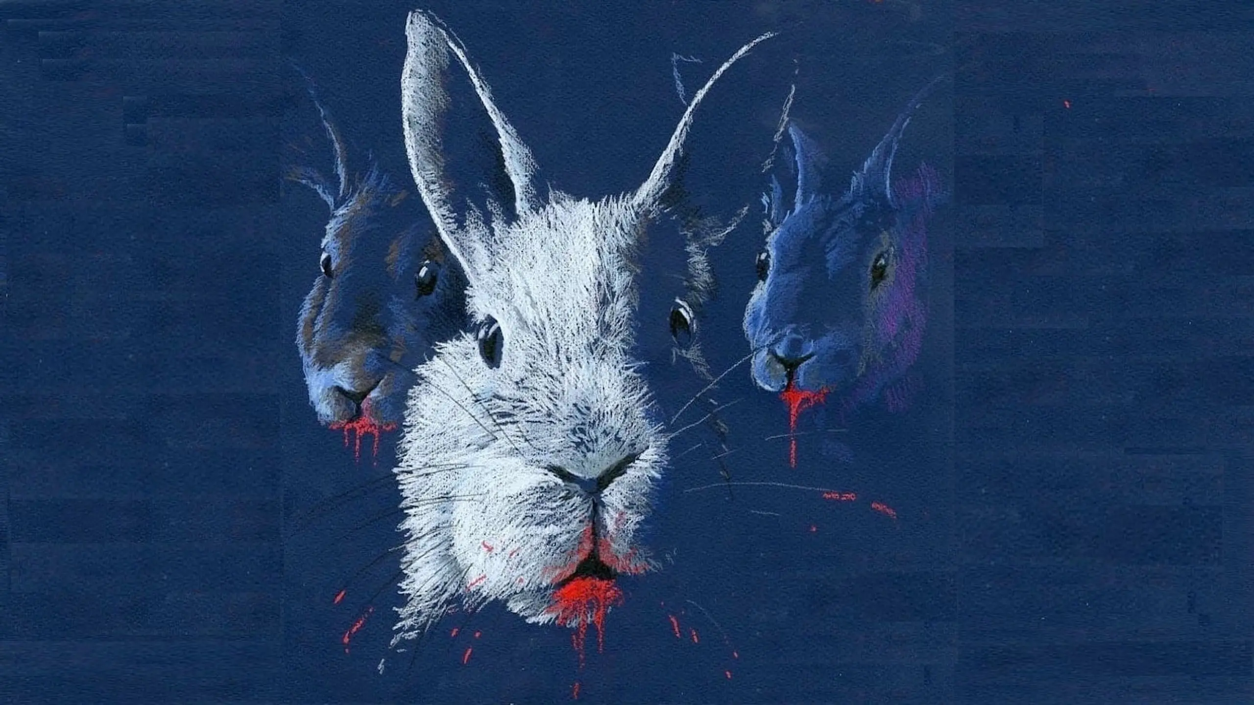 Rabbits