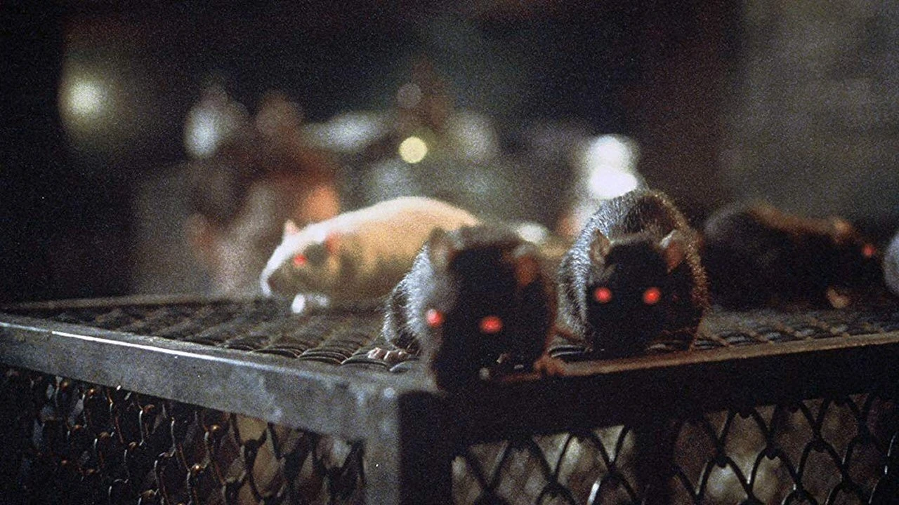 Rats - Mörderische Brut