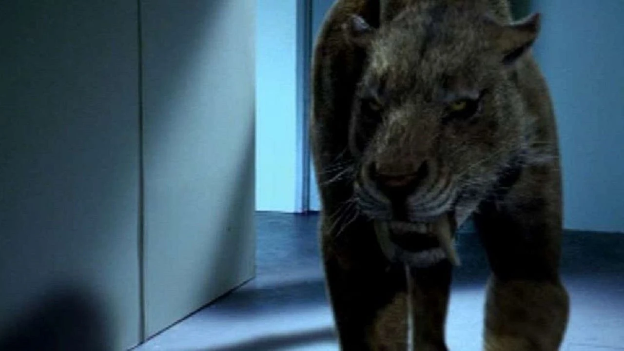 Angriff des Säbelzahntigers