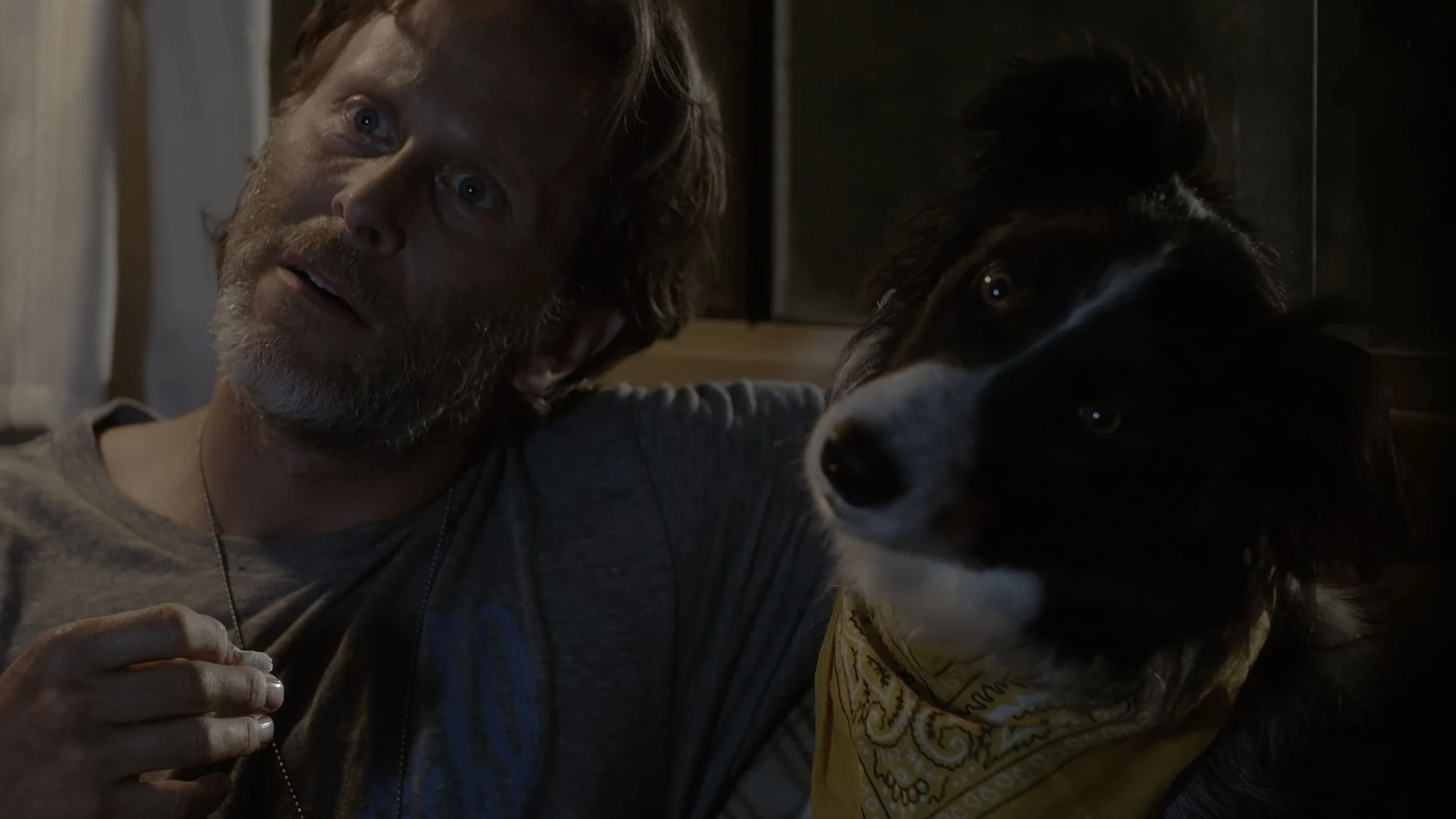 Ein Hund namens Duke