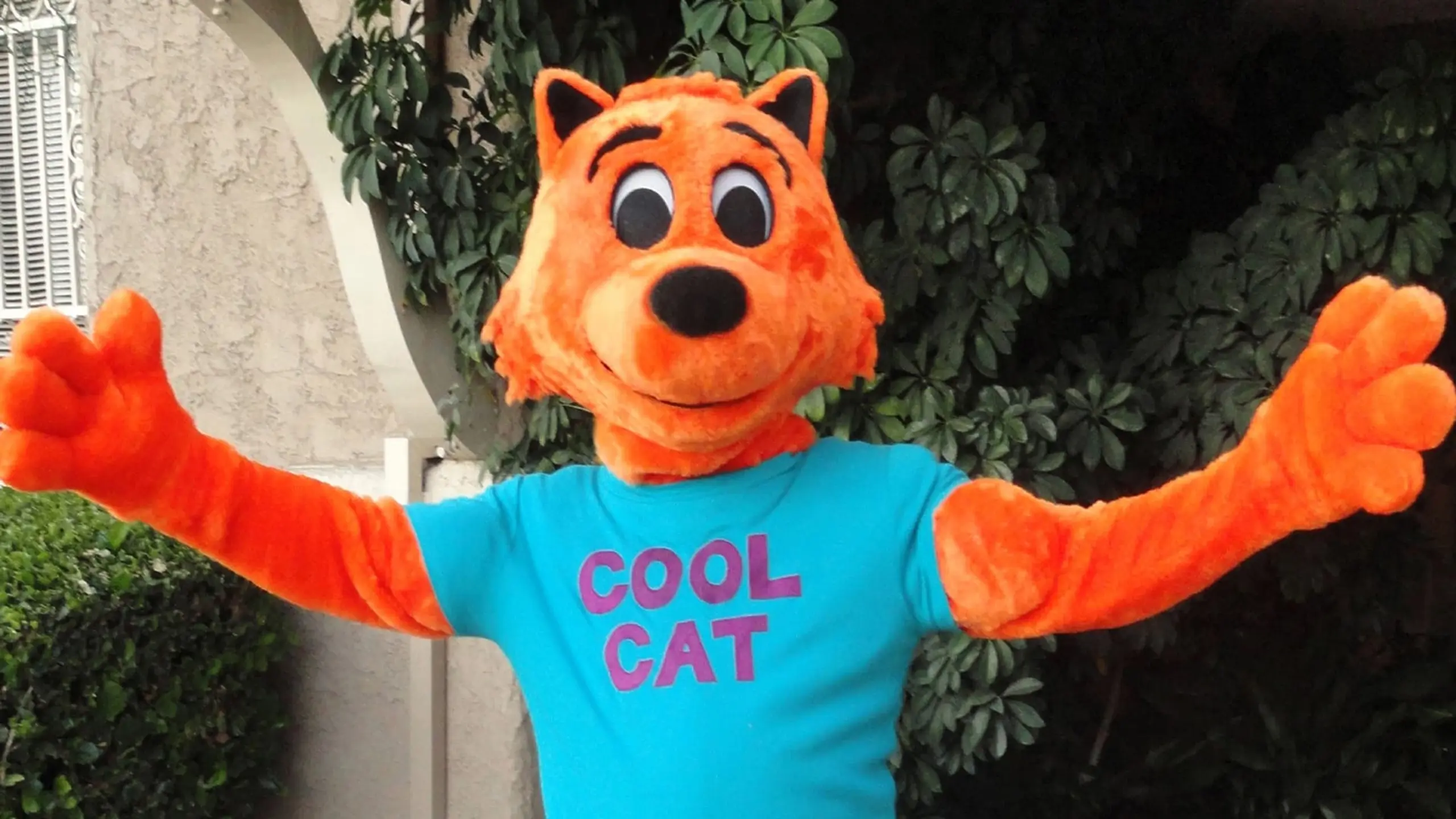 Cool Cat Saves the Kids