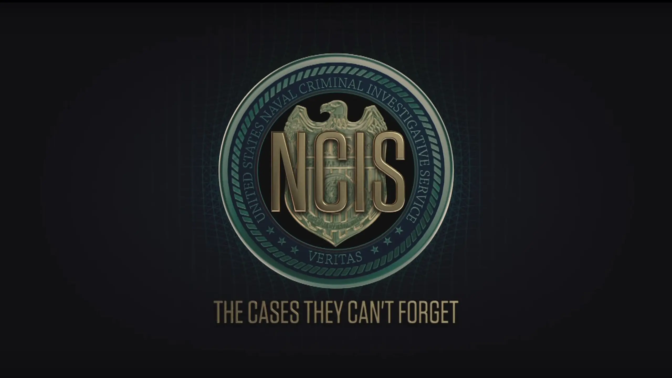 NCIS: The Cases They Can't Forget