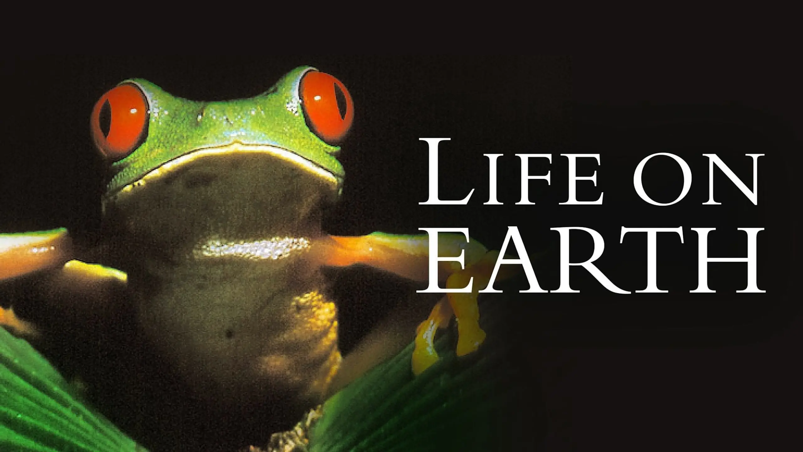 Life on Earth