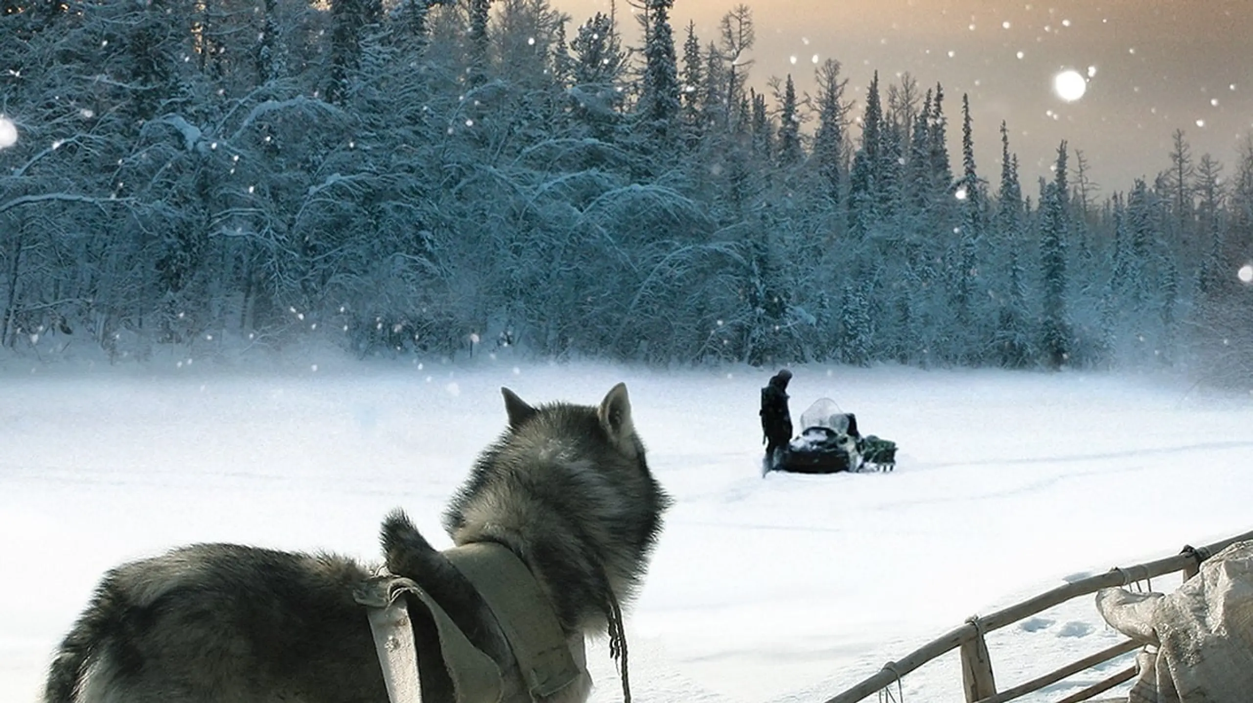 Happy People: Ein Jahr in der Taiga