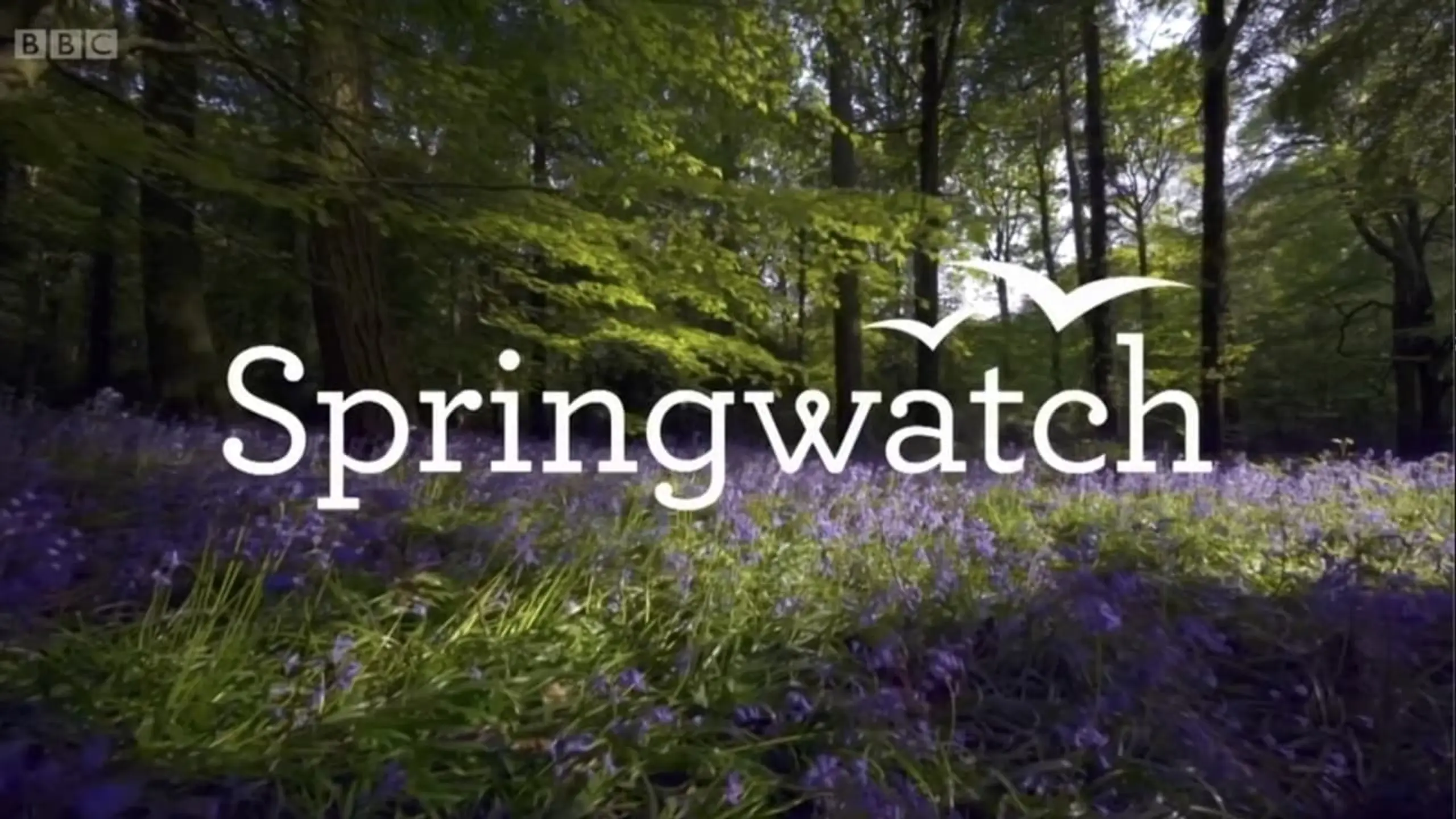 Springwatch