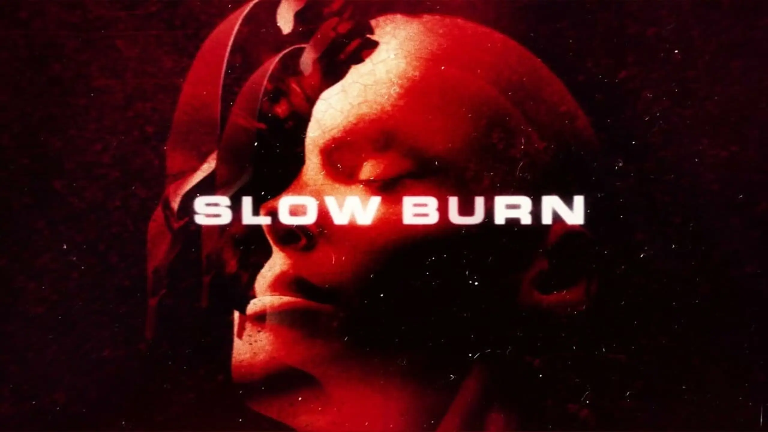 Slow Burn - Verführerische Falle