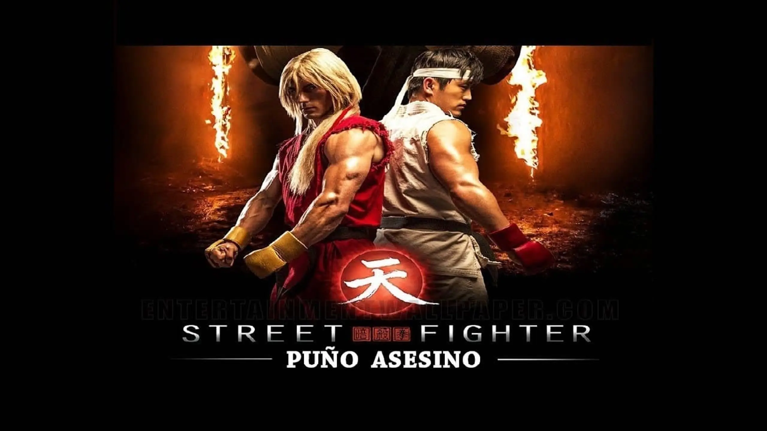 Street Fighter: Assassin's Fist