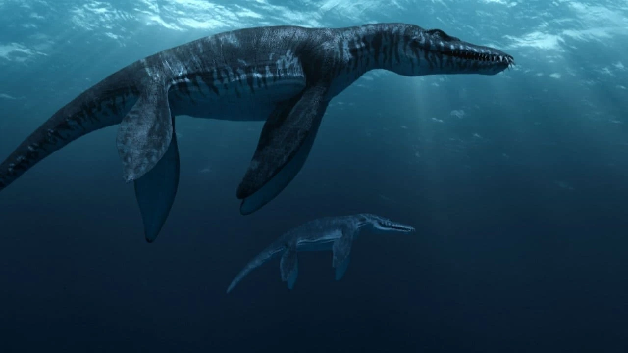 Sea Rex 3D: Reise in die Zeit der Dinosaurier