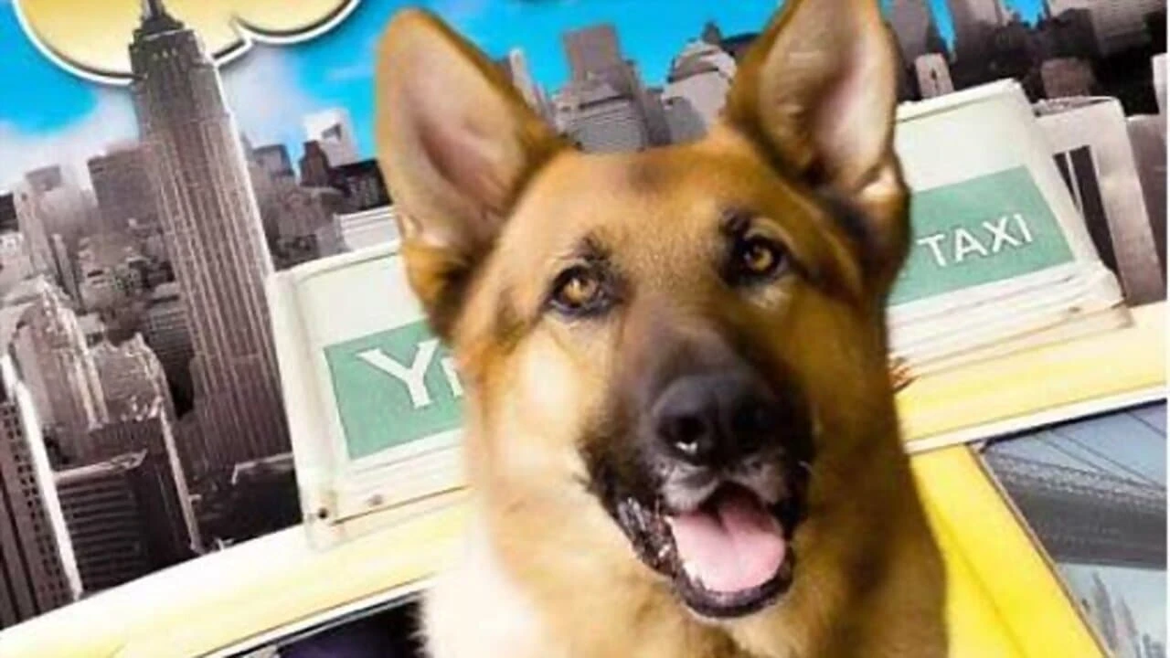 Tierisch Cool - Ein Hund in New York