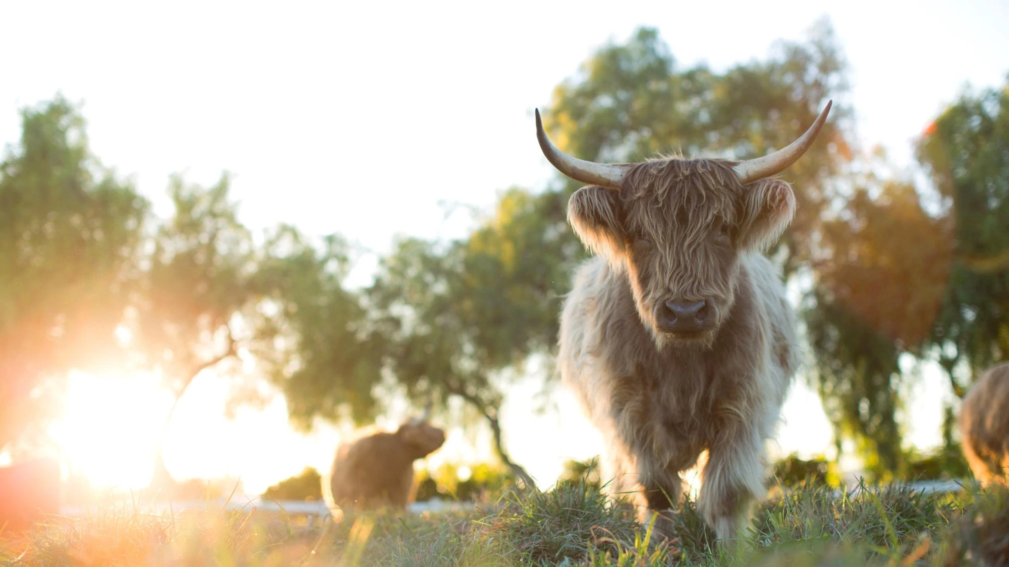 Unsere große kleine Farm: Die Rückkehr