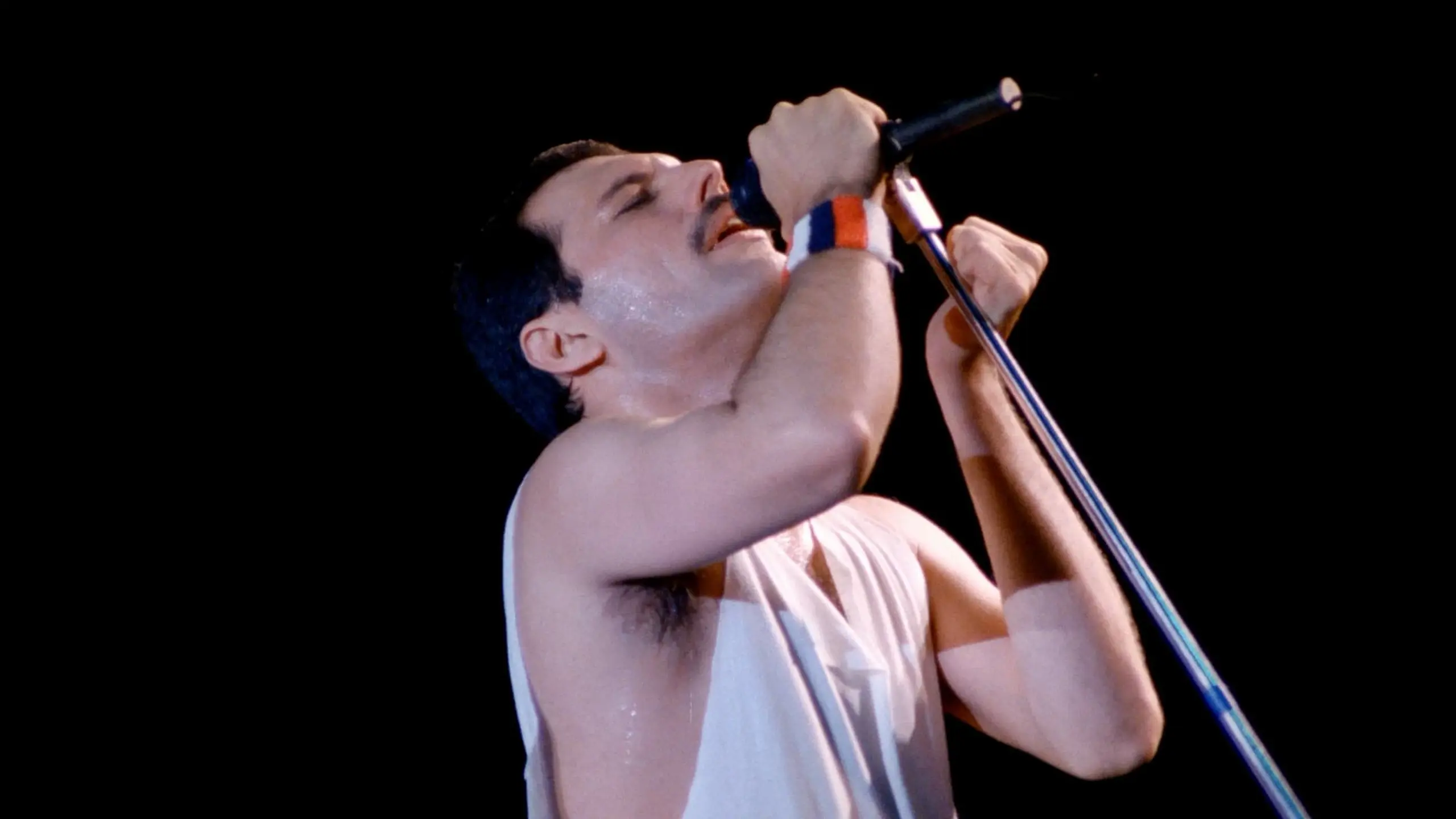 Queen: Hungarian Rhapsody - Live in Budapest