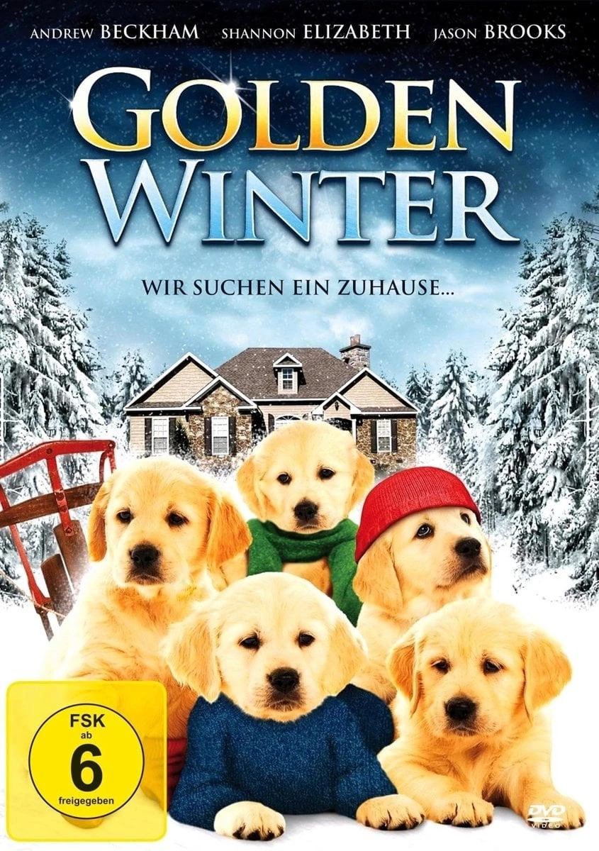 Golden Winter - Wir suchen ein Zuhause