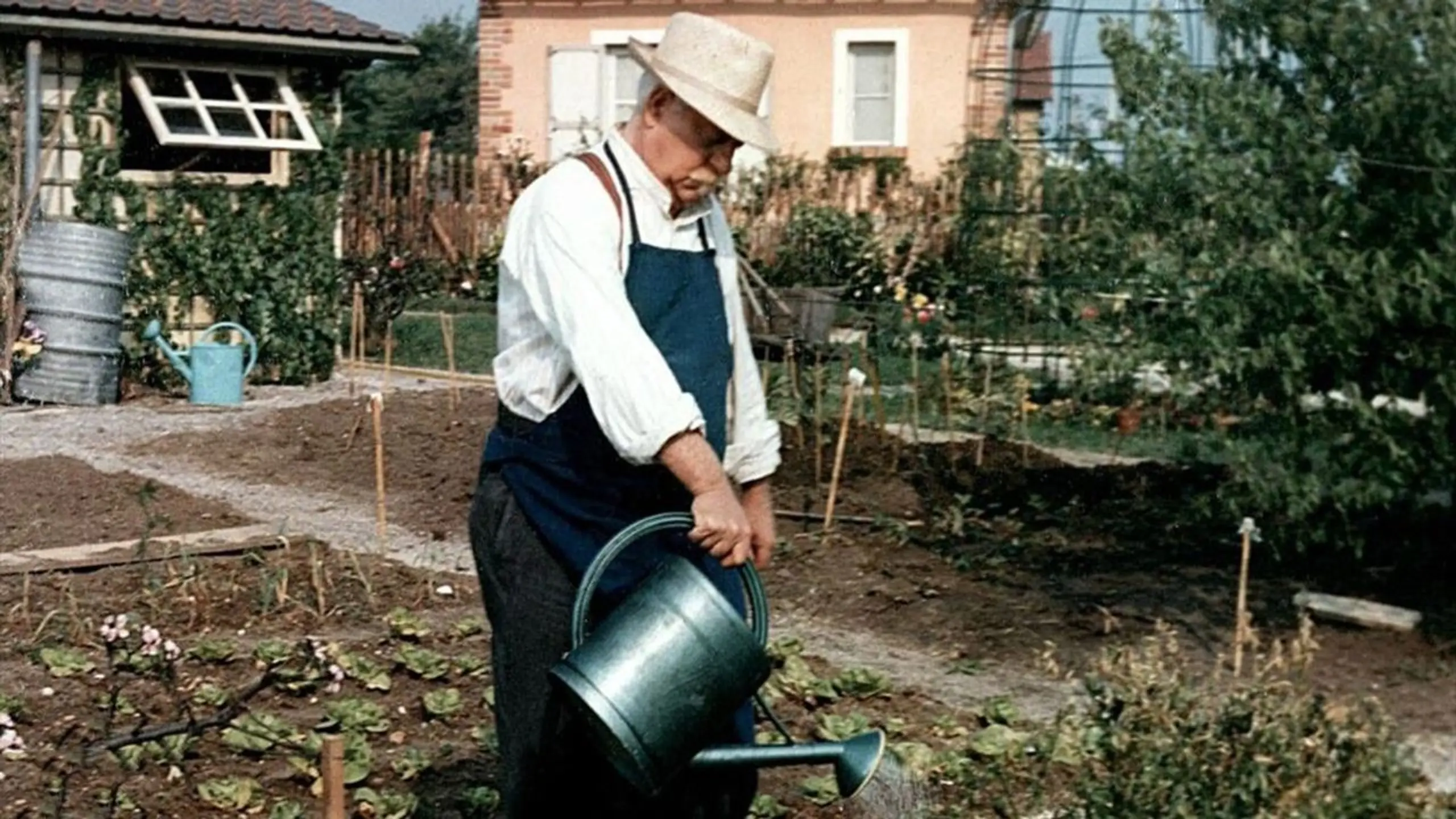 Blüten, Gauner und die Nacht von Nizza