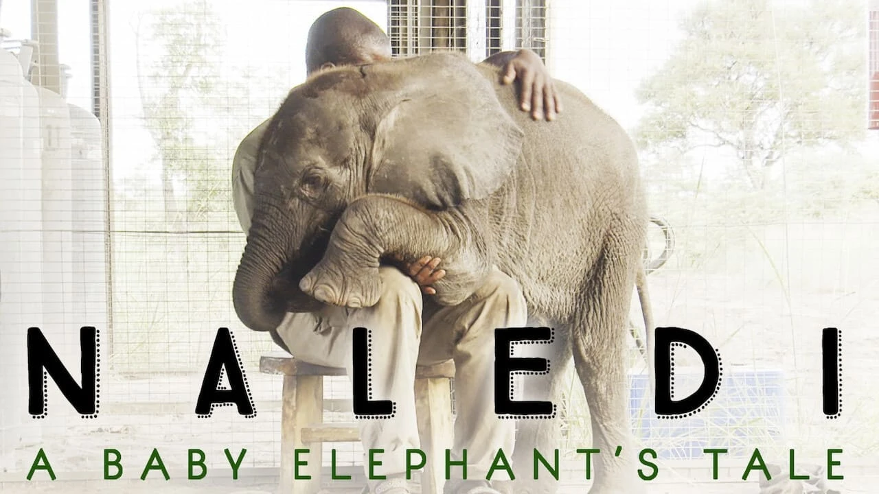 Naledi - Ein Elefantenleben