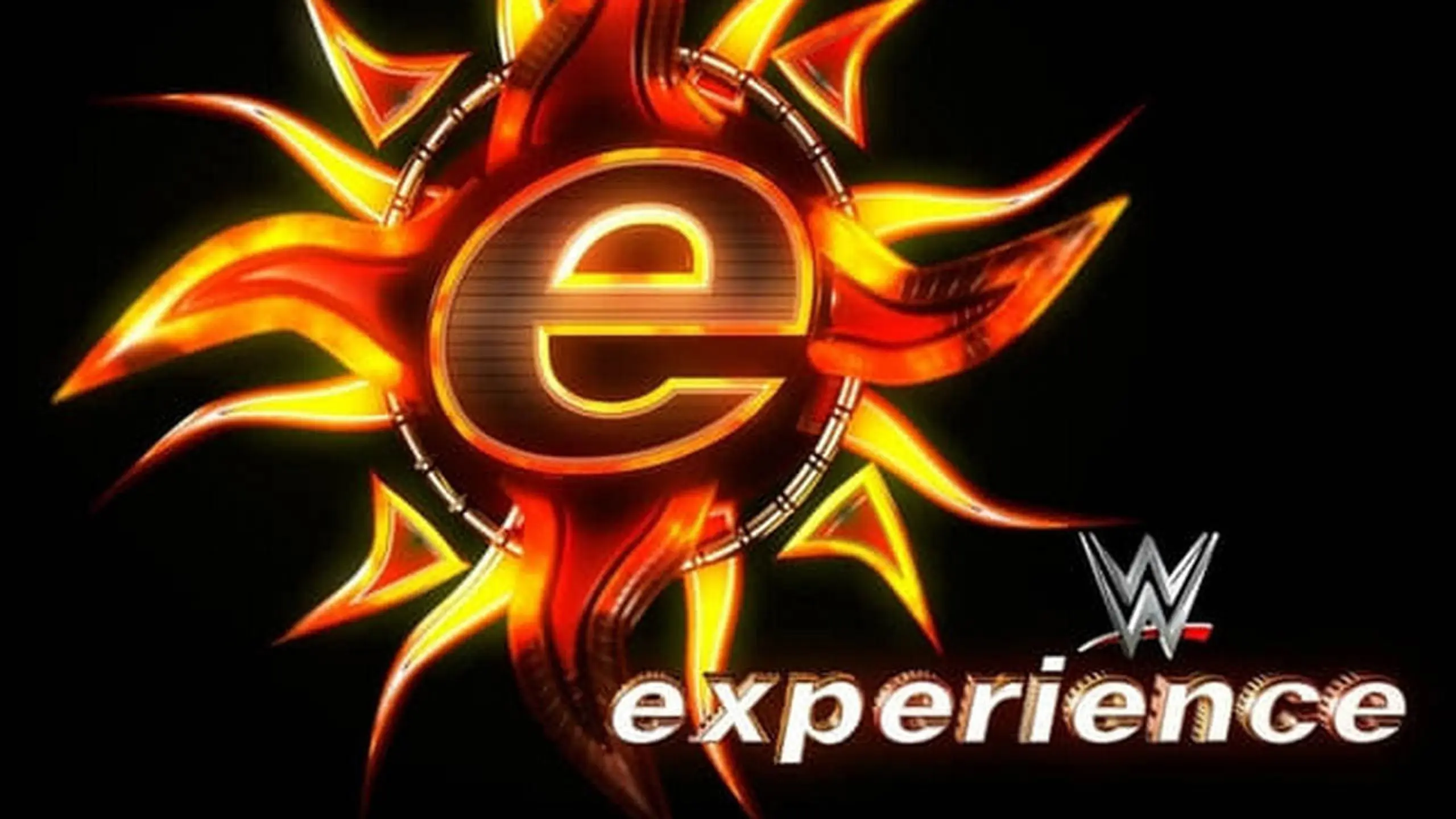 WWE Experience