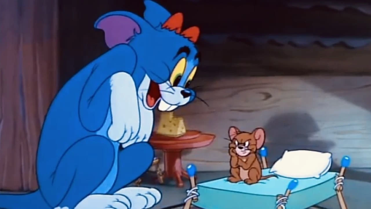 Tom, nicht Maus und nicht Kater