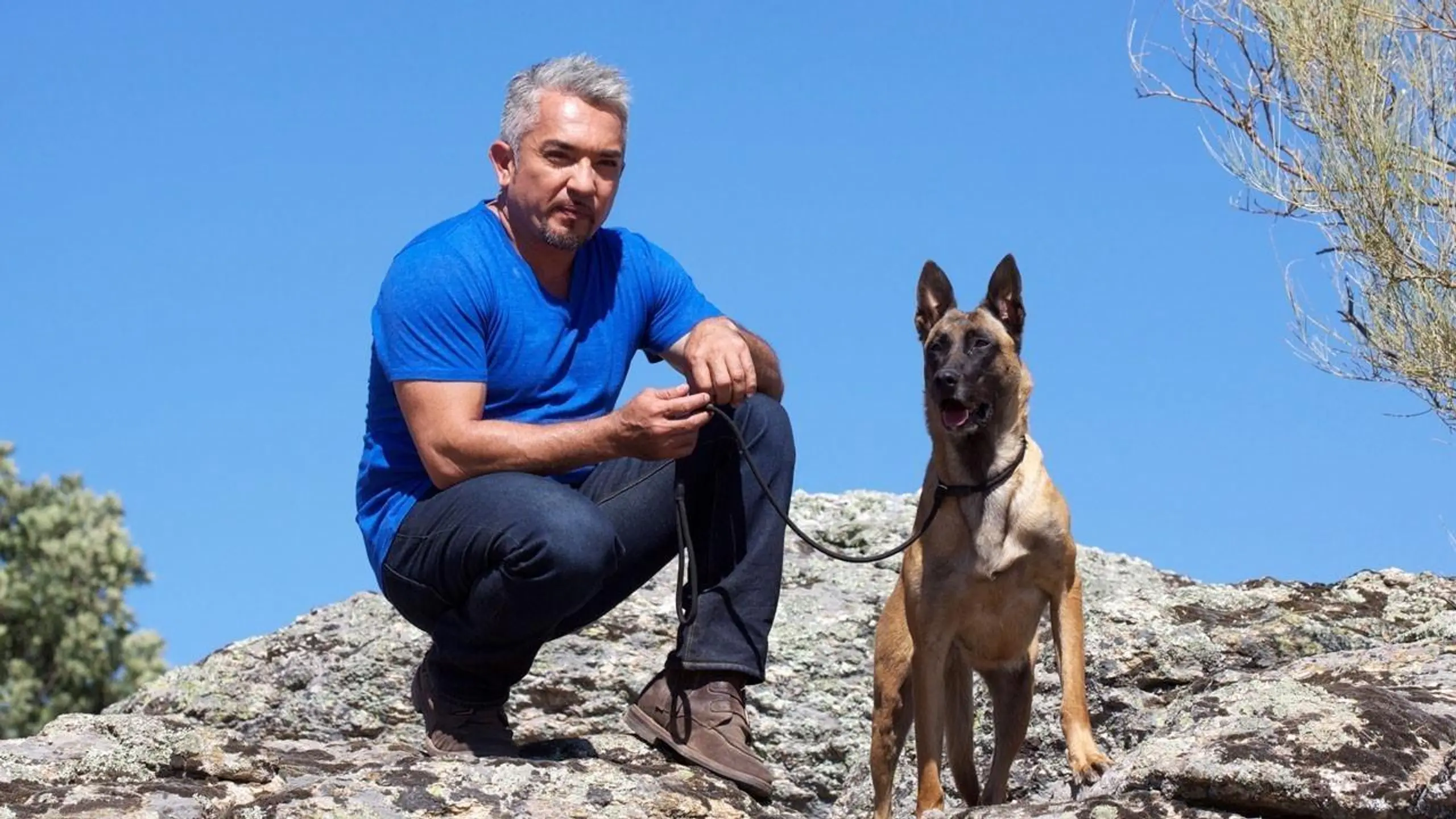 Cesar Millan Auf den Hund gekommen