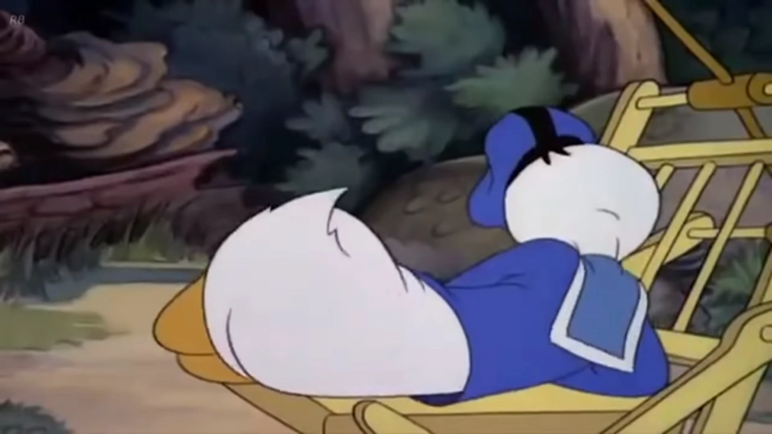 Donald's Ferien