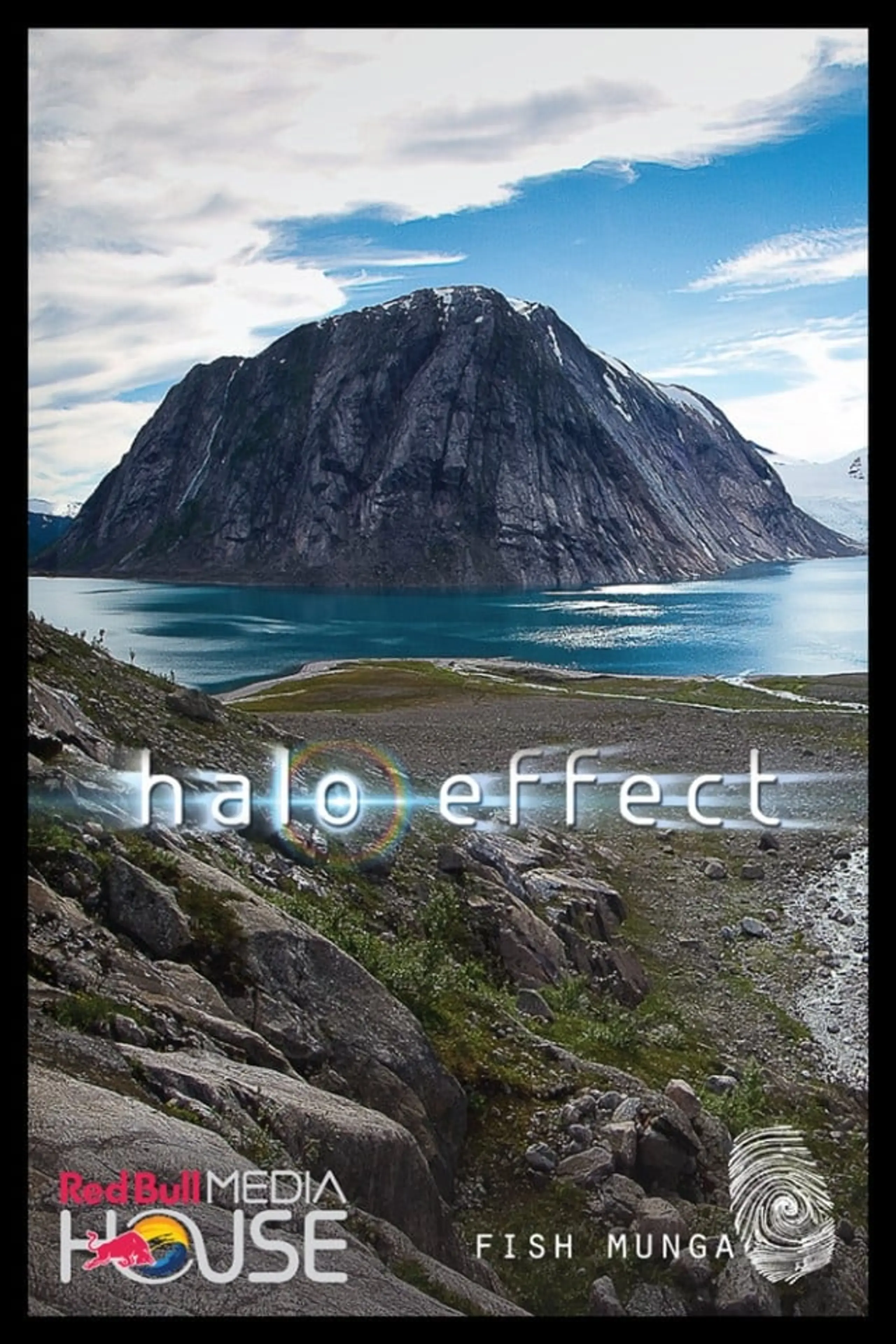 Halo Effect