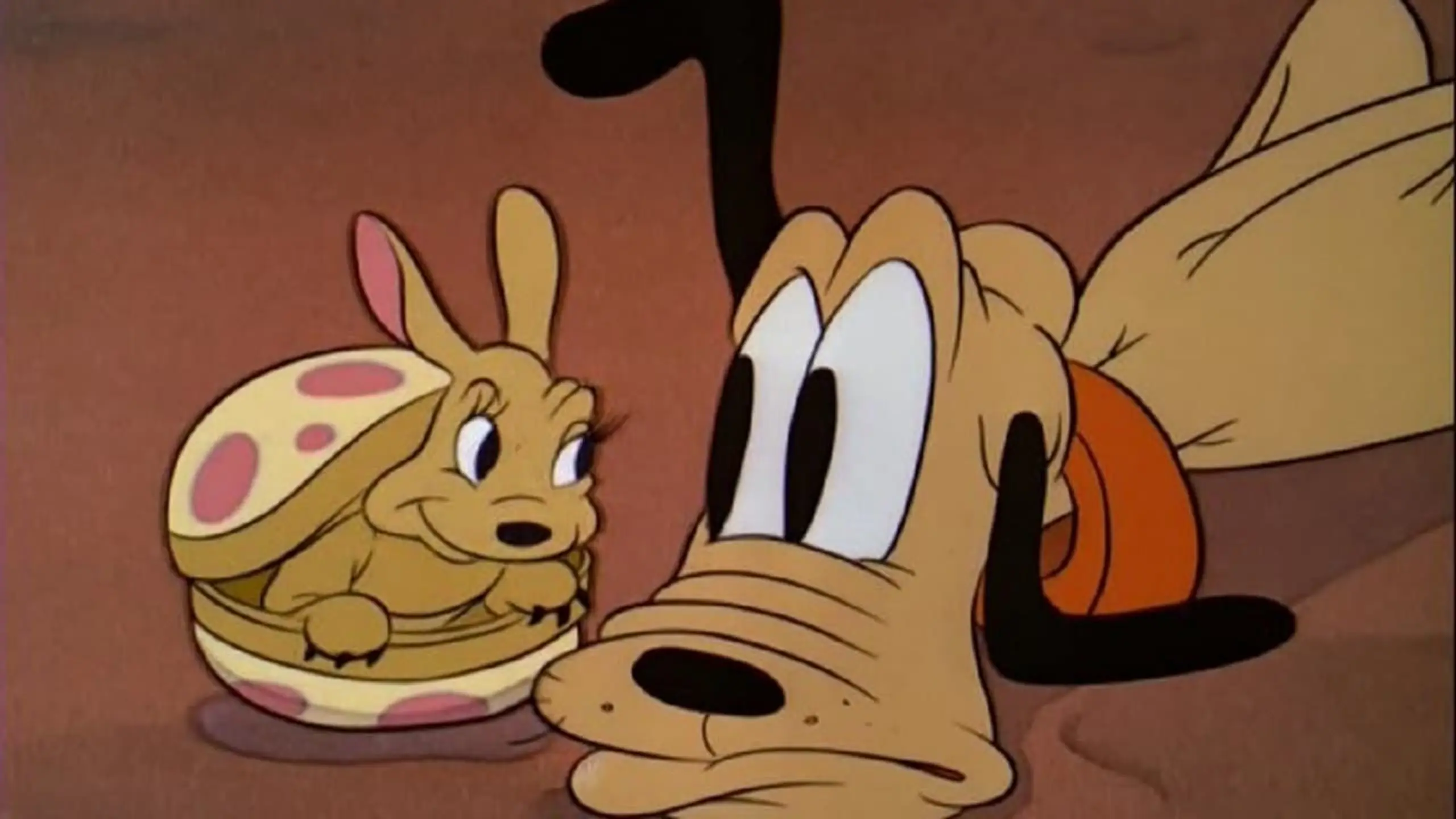 Pluto und der Armadillo