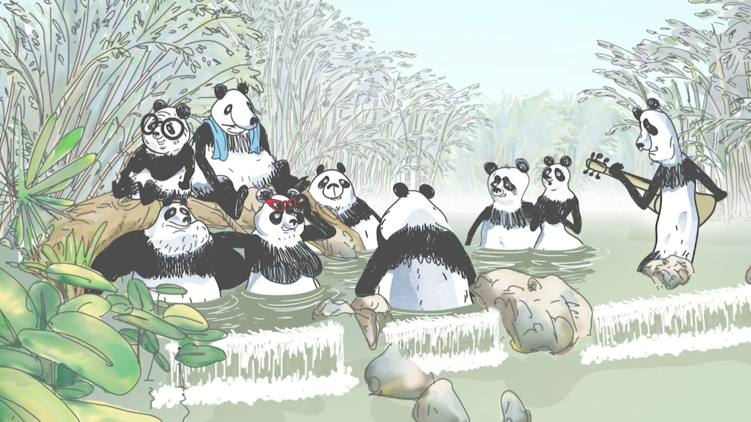 Pandas dans la brume