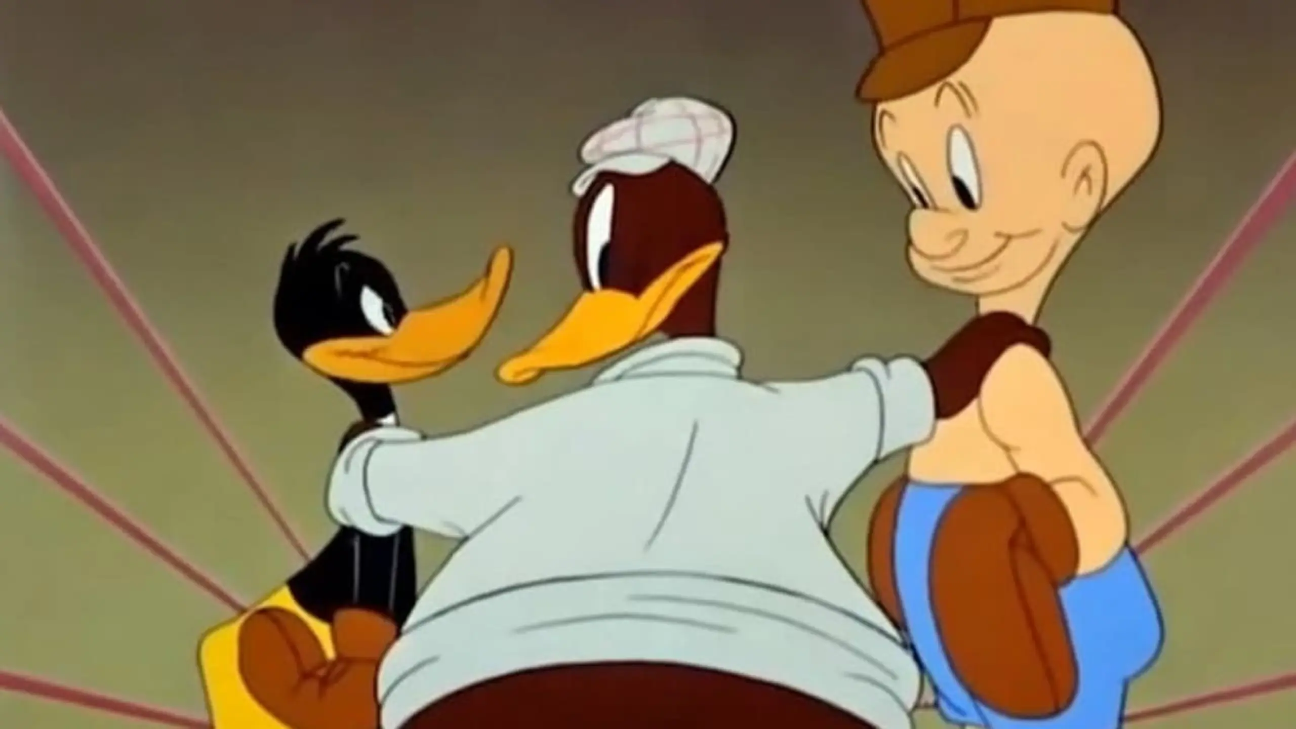 Ring frei für Daffy Duck