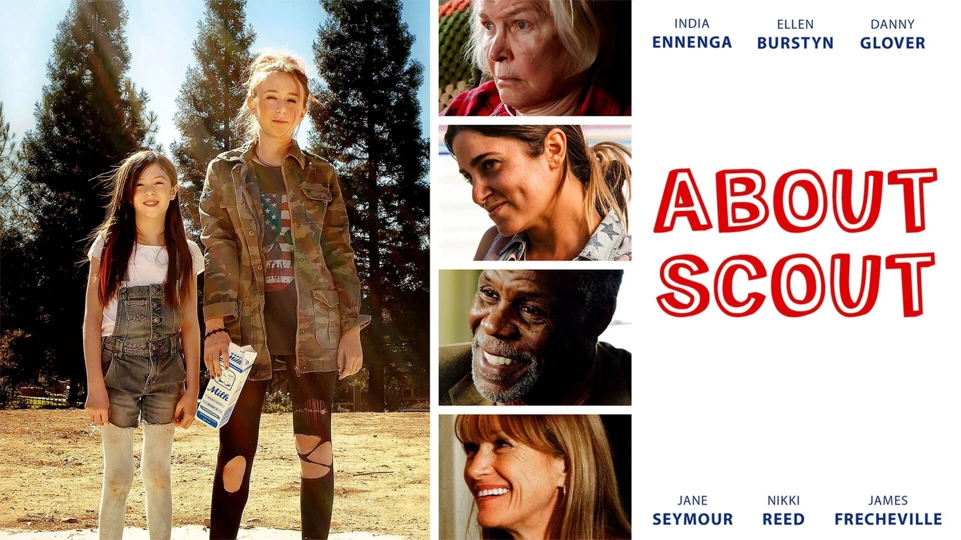 About Scout