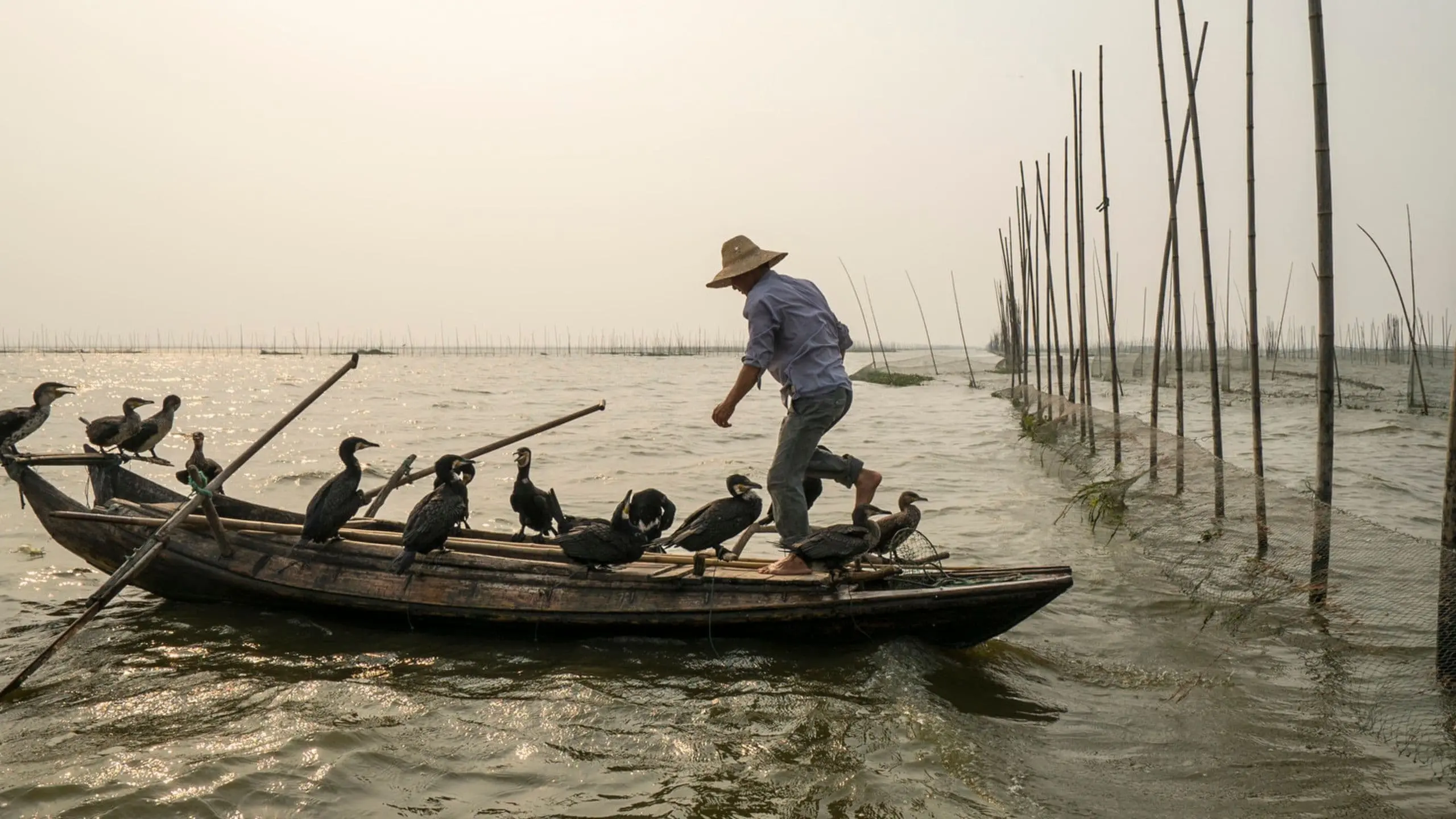 Langs de oevers van de Yangtze