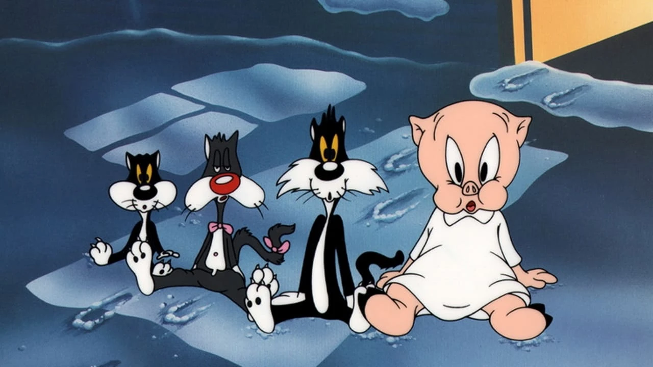 Alles für die Katz