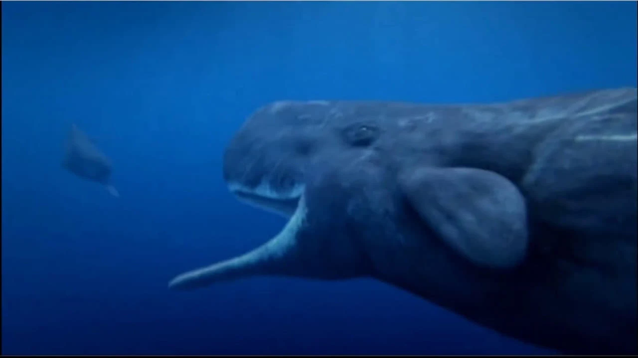 Deep Ocean - Gnadenlose Tiefe