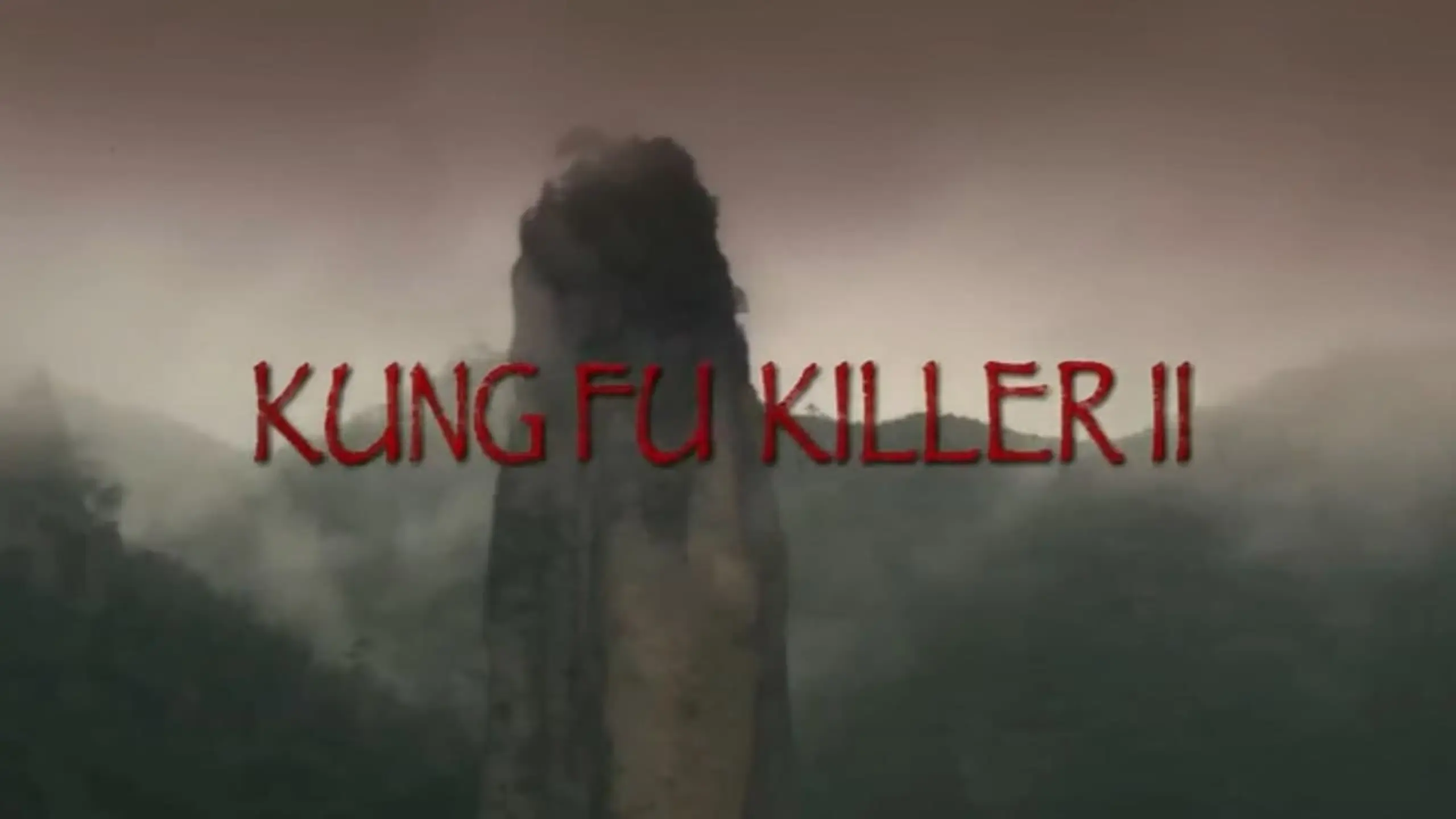 Kung Fu Killer 2