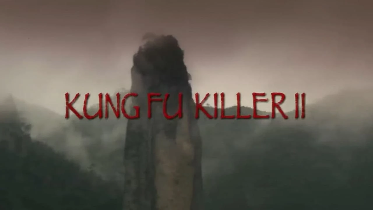 Kung Fu Killer 2