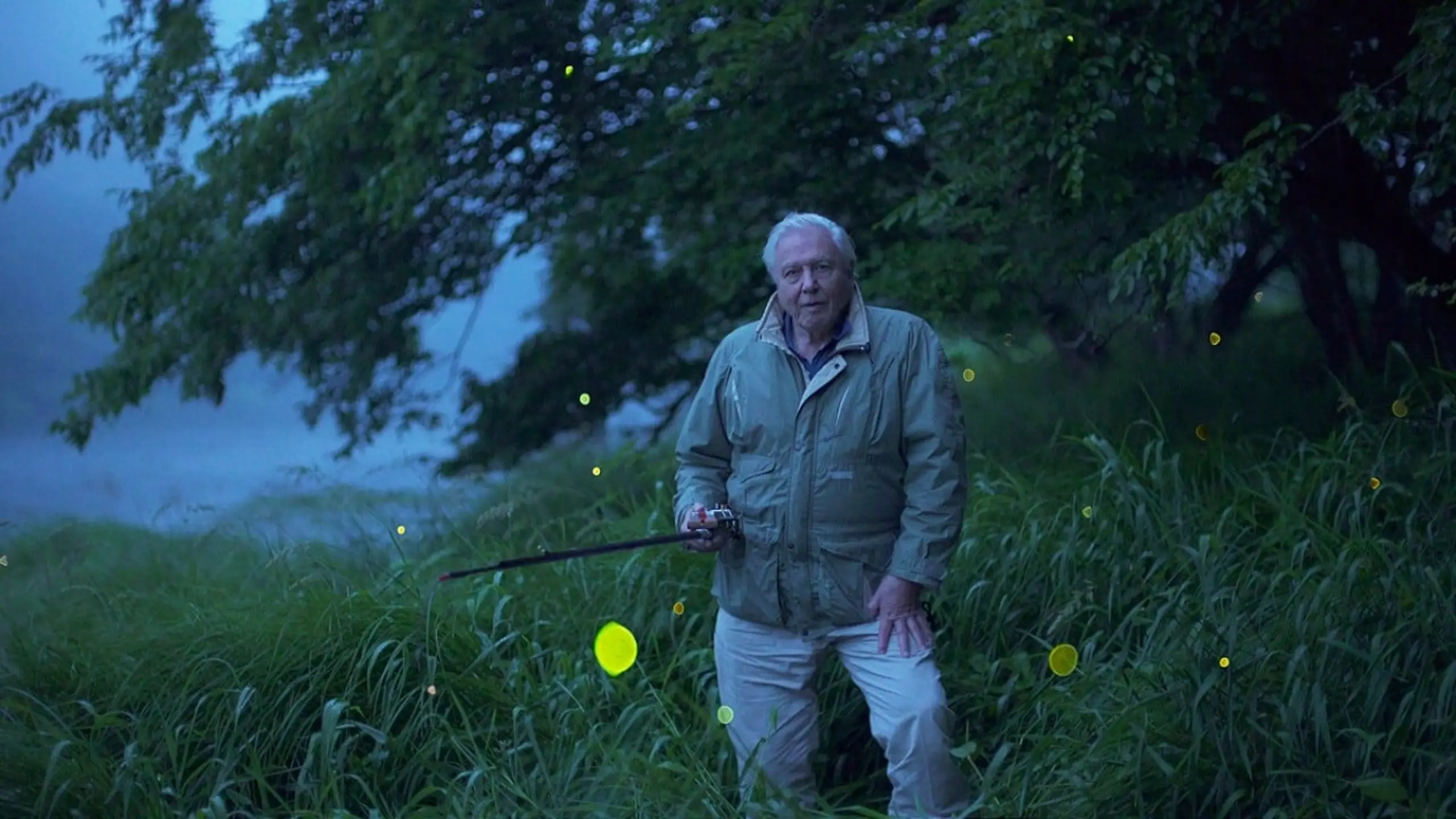 Attenborough's Life That Glows