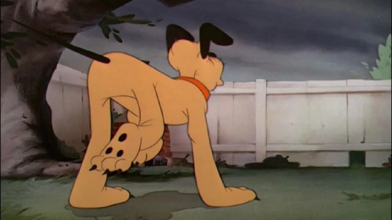 Pluto der Schlafwandler