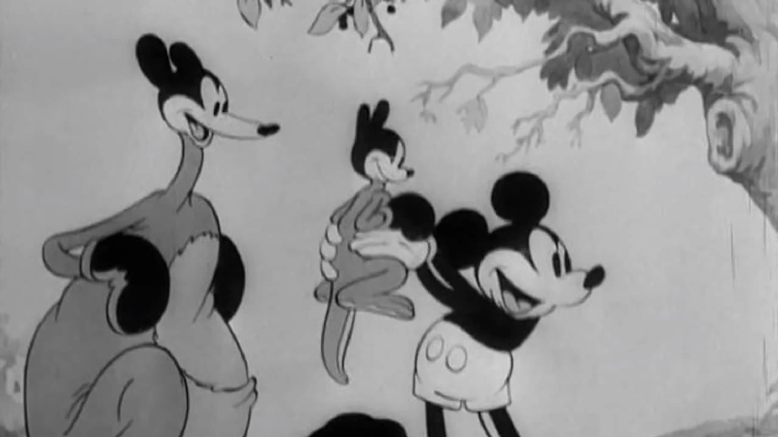 Micky's Känguruh
