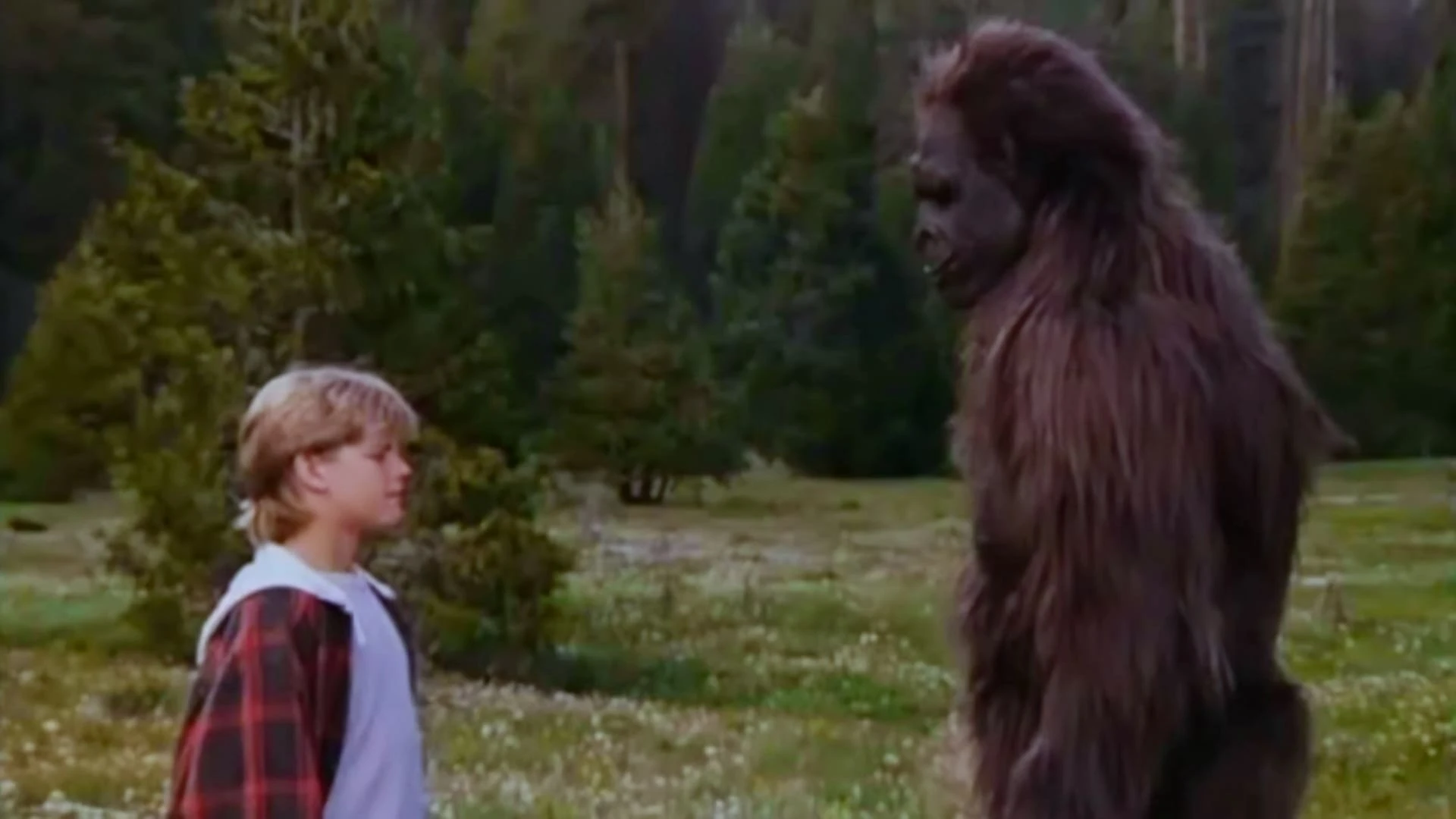 Mein grosser Freund Bigfoot