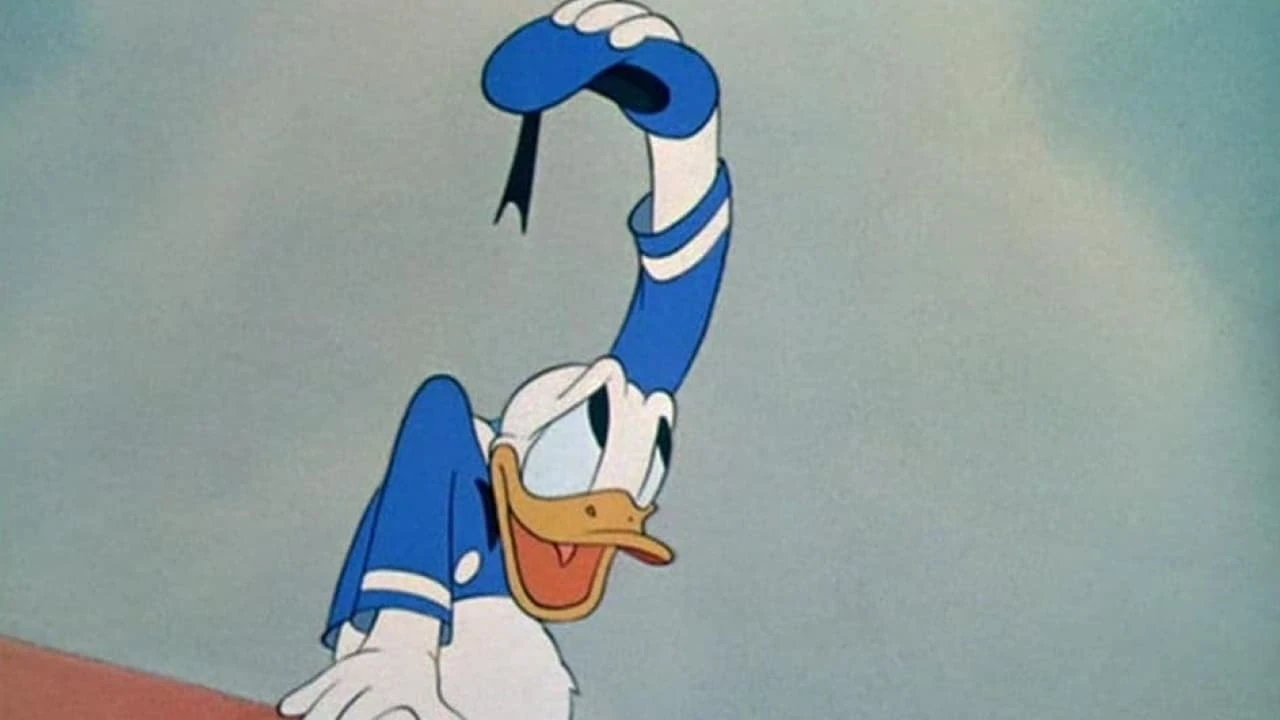 Donald auf dem Bau