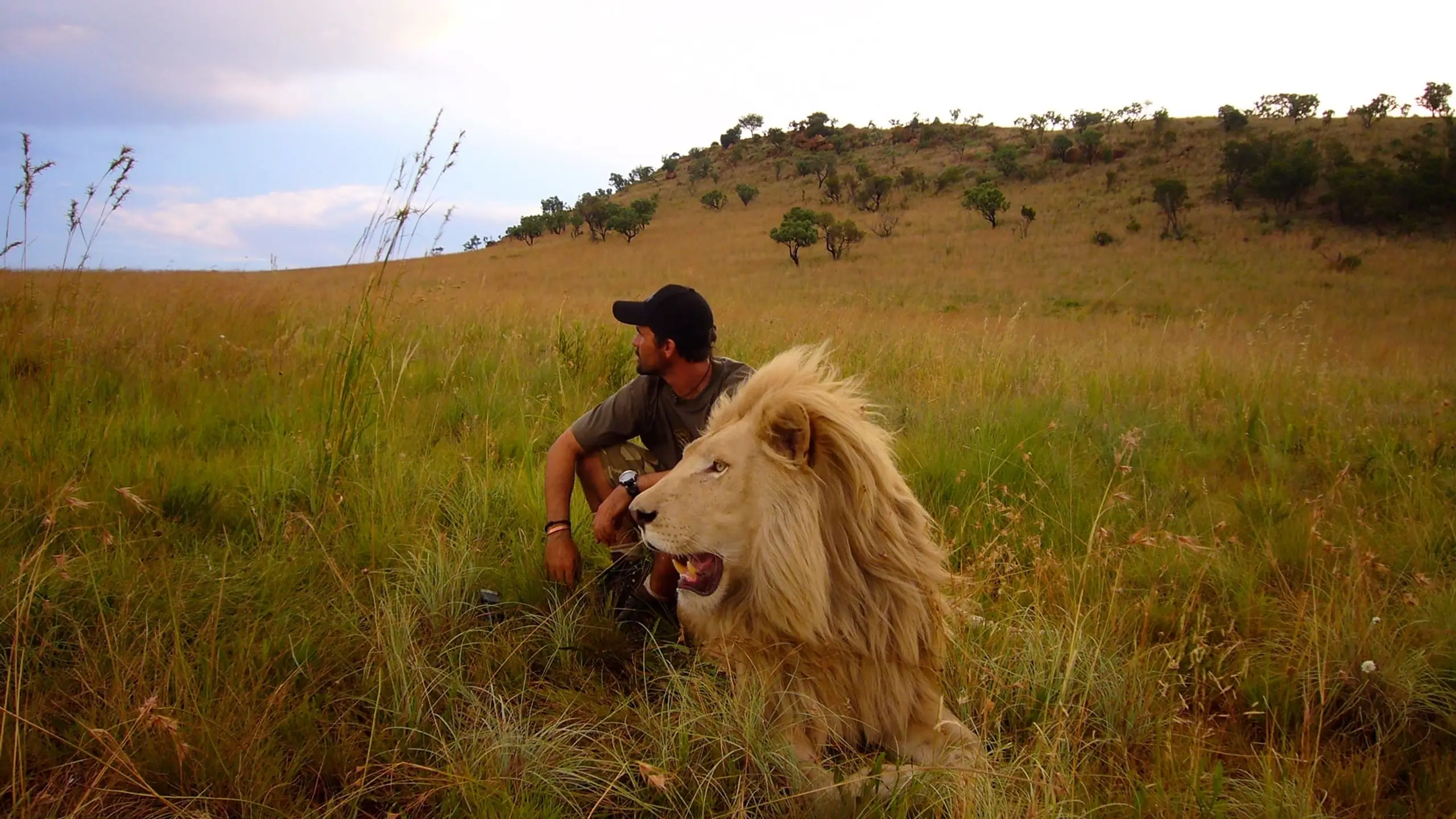 African Safari 3D