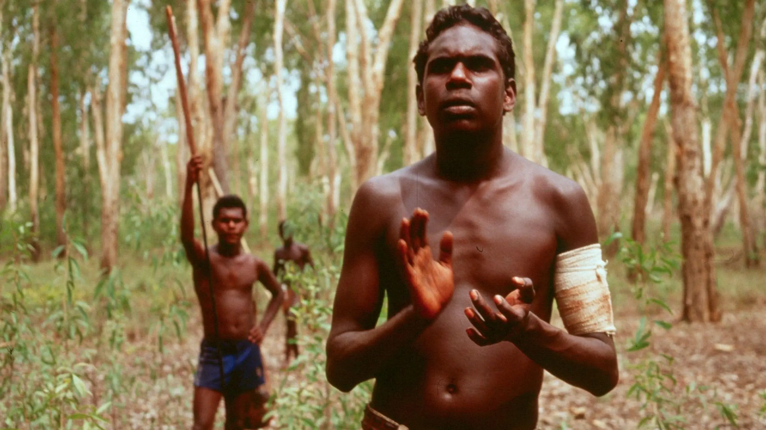 Yolngu Boy