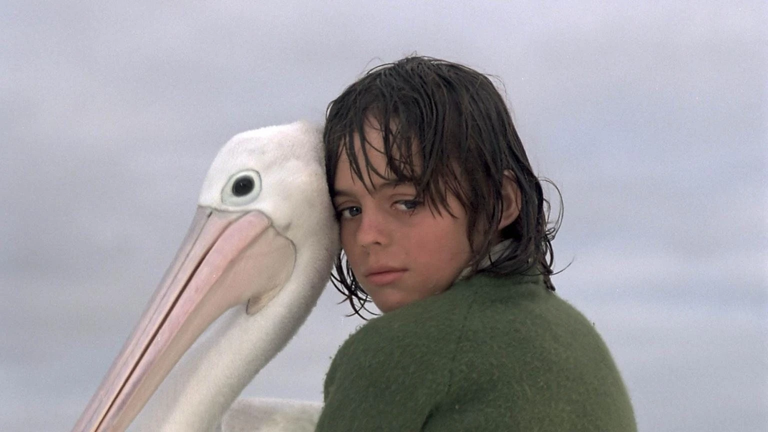 Storm Boy